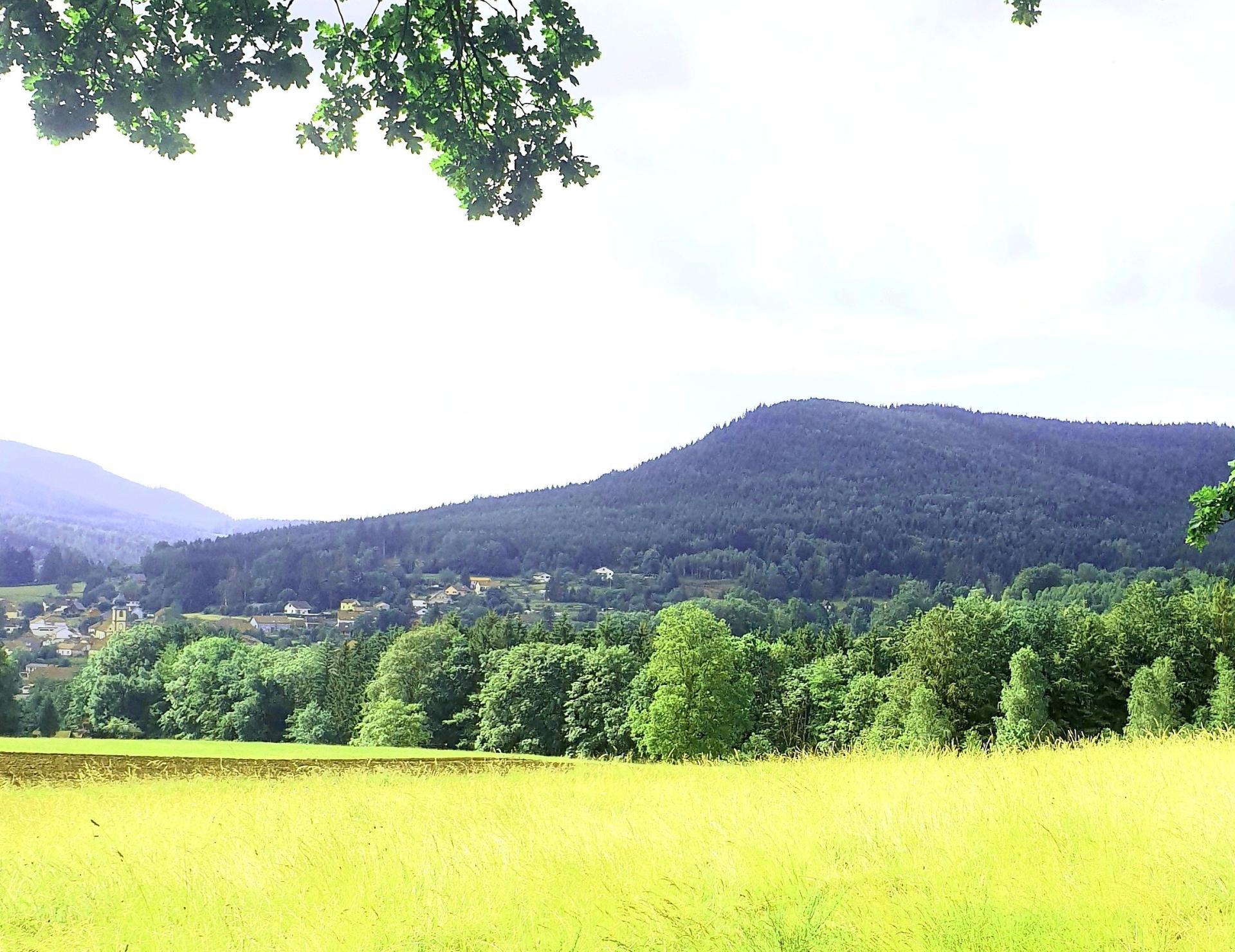 Miniature photo - 6 / 7