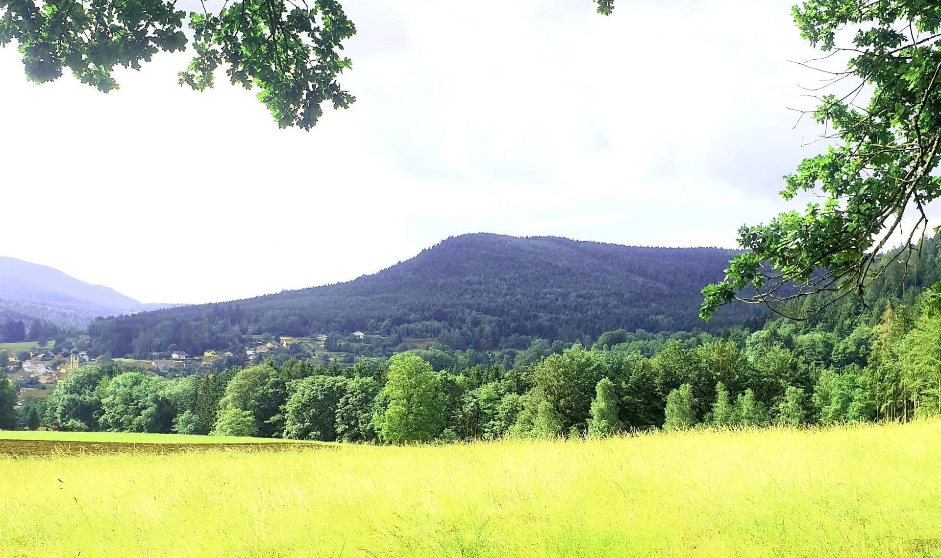 Miniature photo - 5 / 6