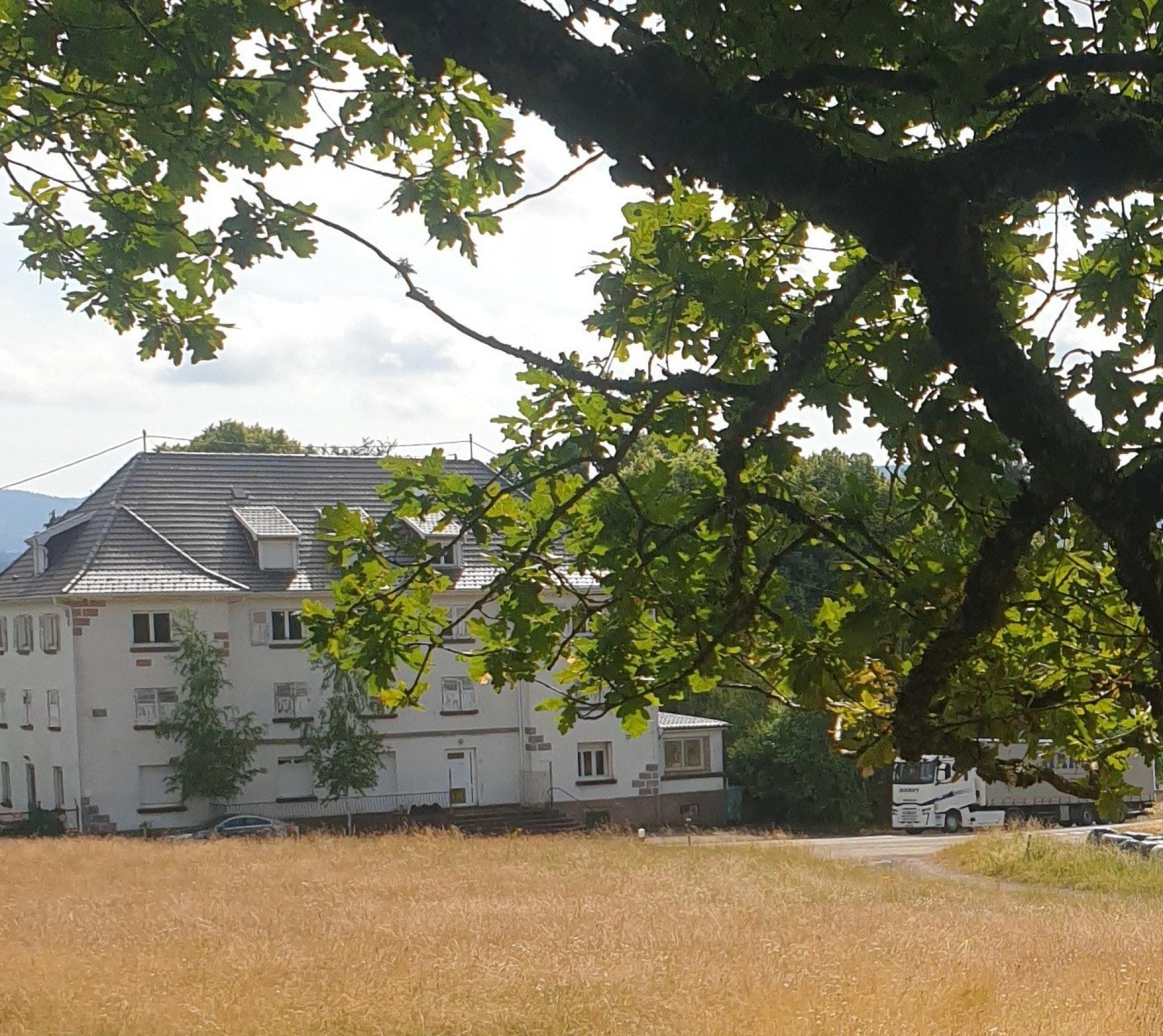 Miniature photo - 2 / 6