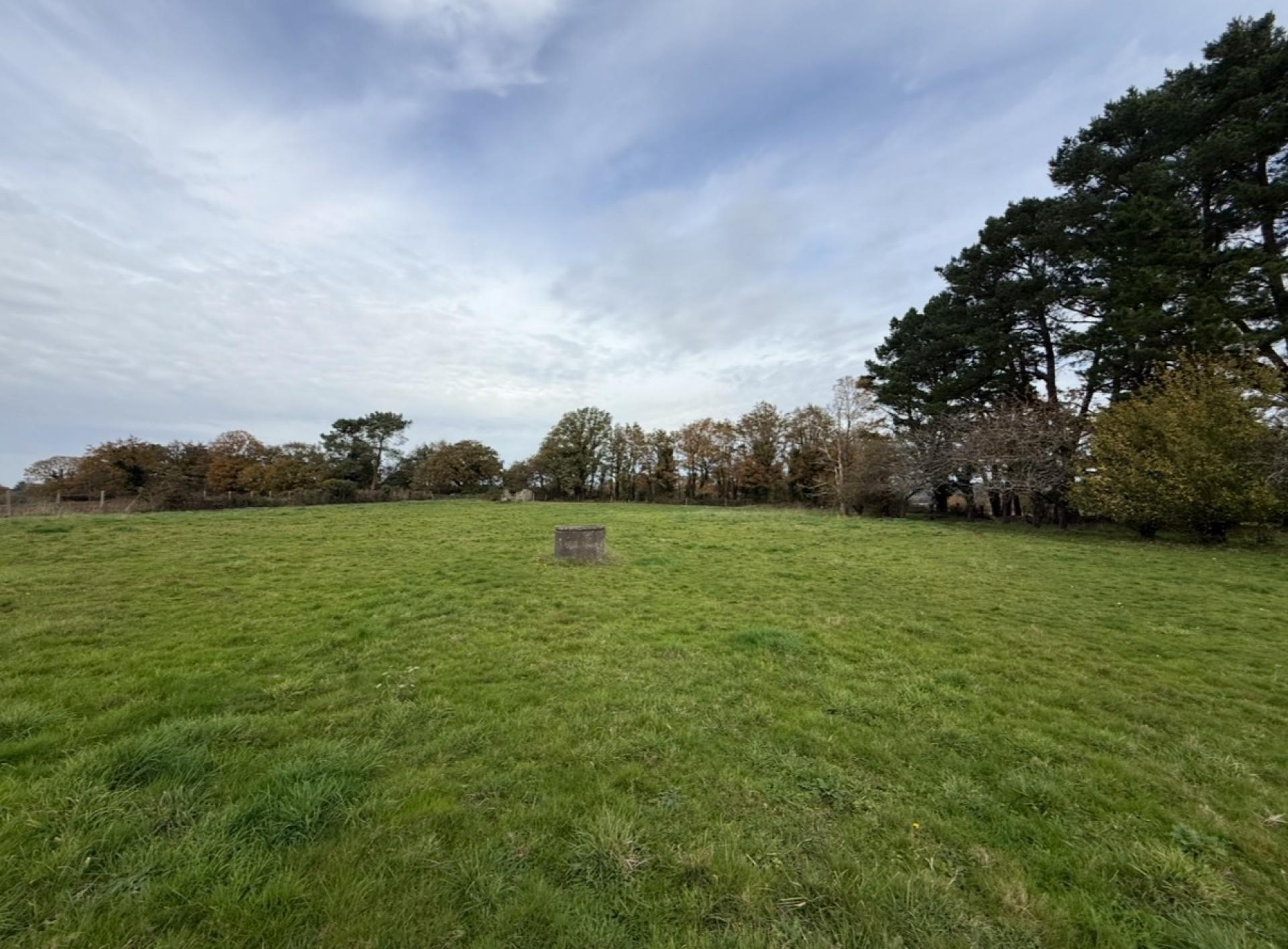 Miniature photo - 12 / 14