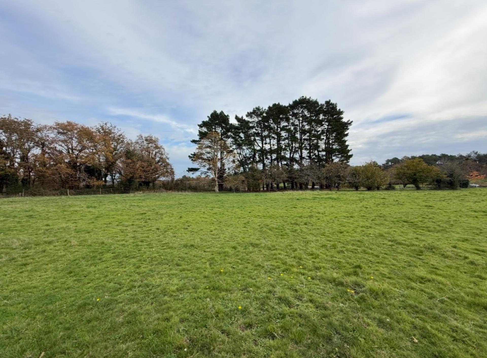 Miniature photo - 13 / 14