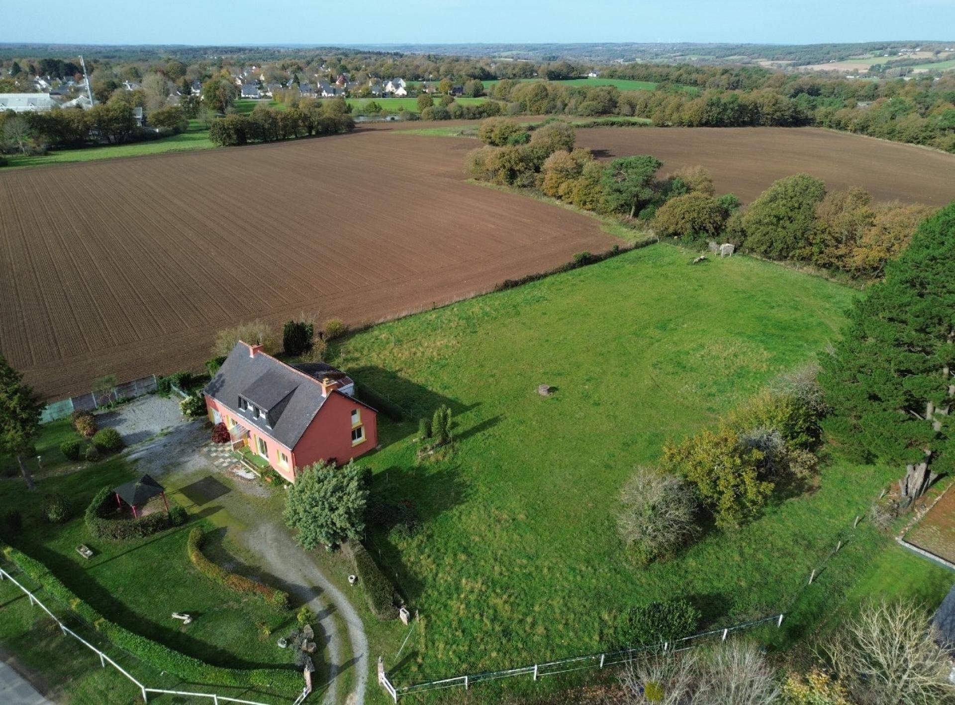 Miniature photo - 2 / 14