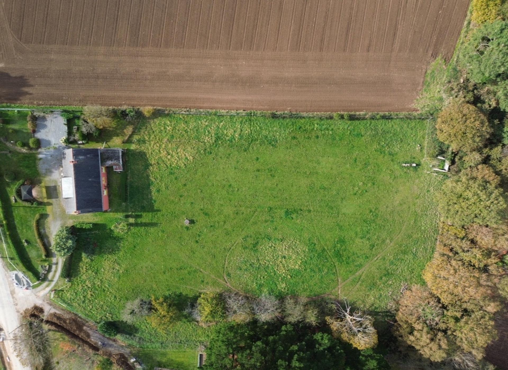 Miniature photo - 3 / 14