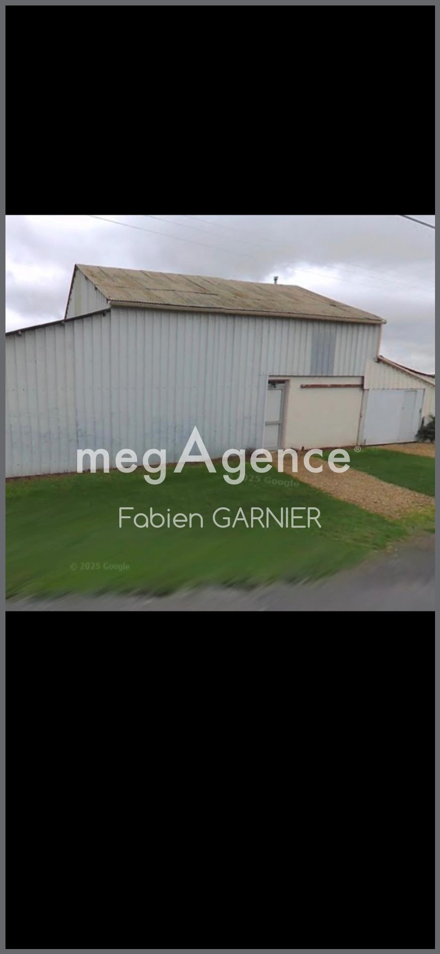 Miniature photo - 4 / 11