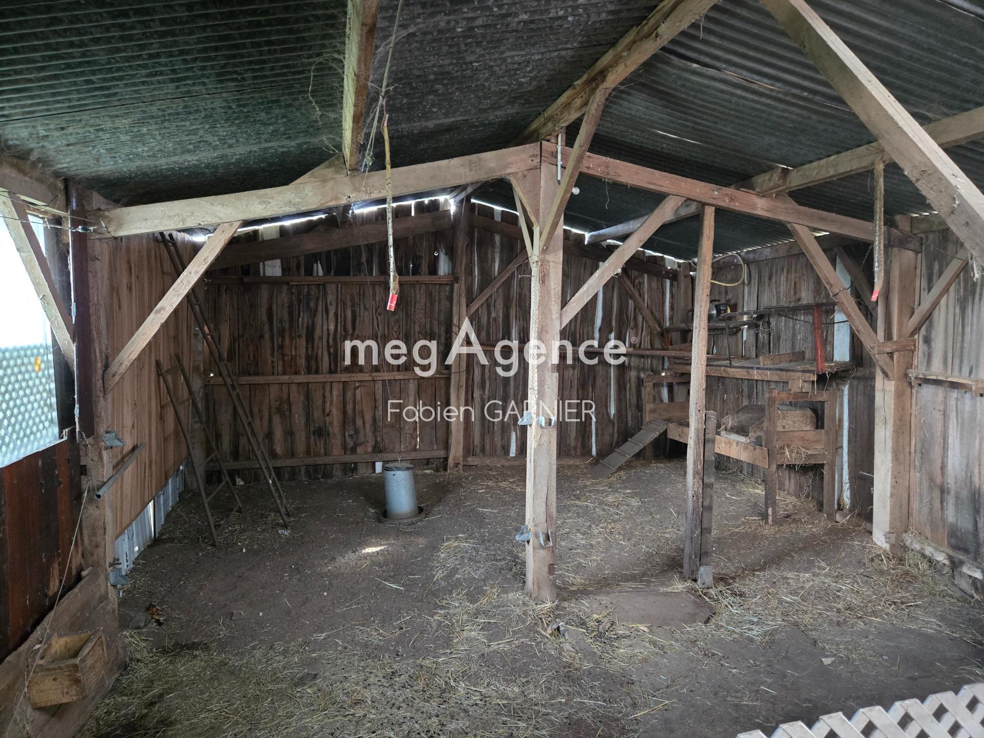 Miniature photo - 9 / 10