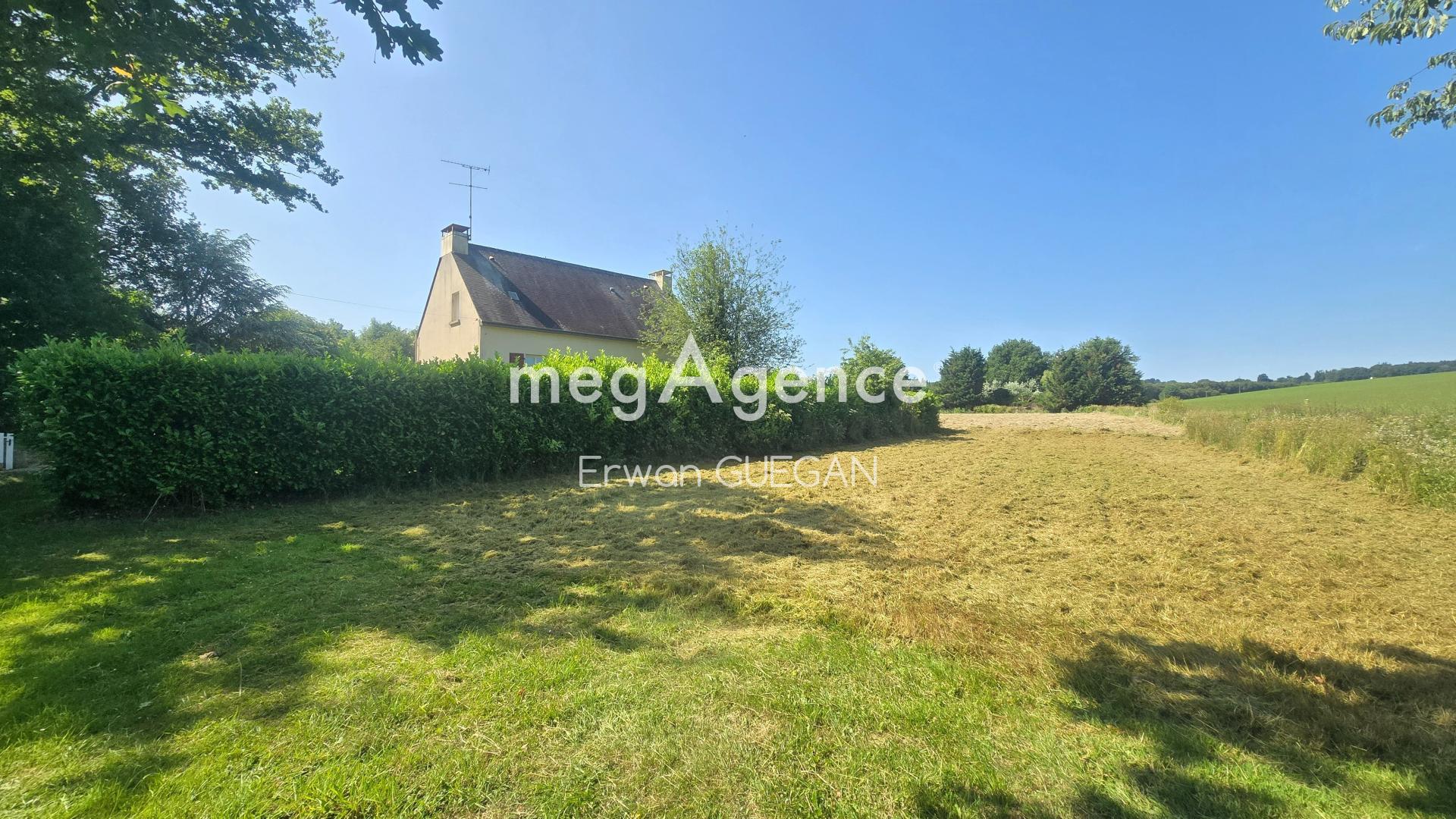 Miniature photo - 2 / 13