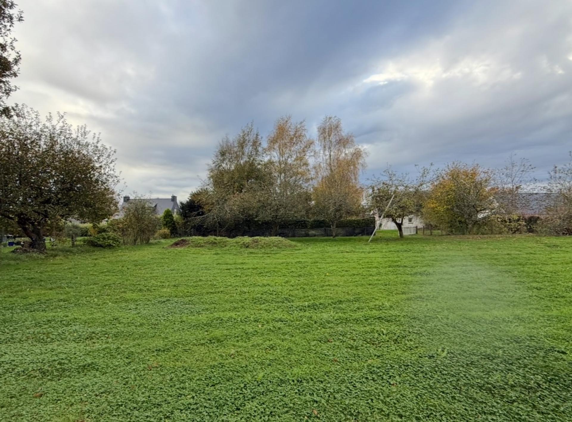 Miniature photo - 3 / 3