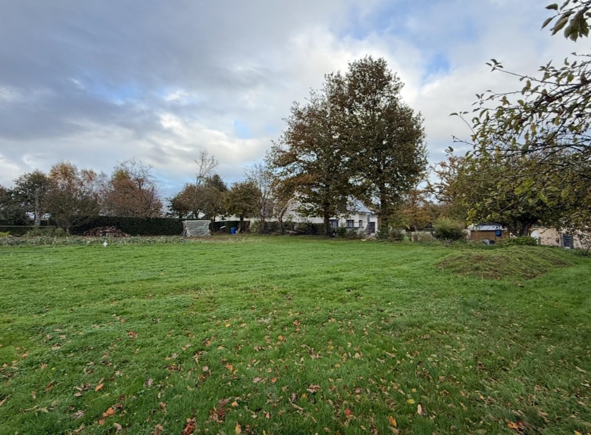 Miniature photo - 2 / 3