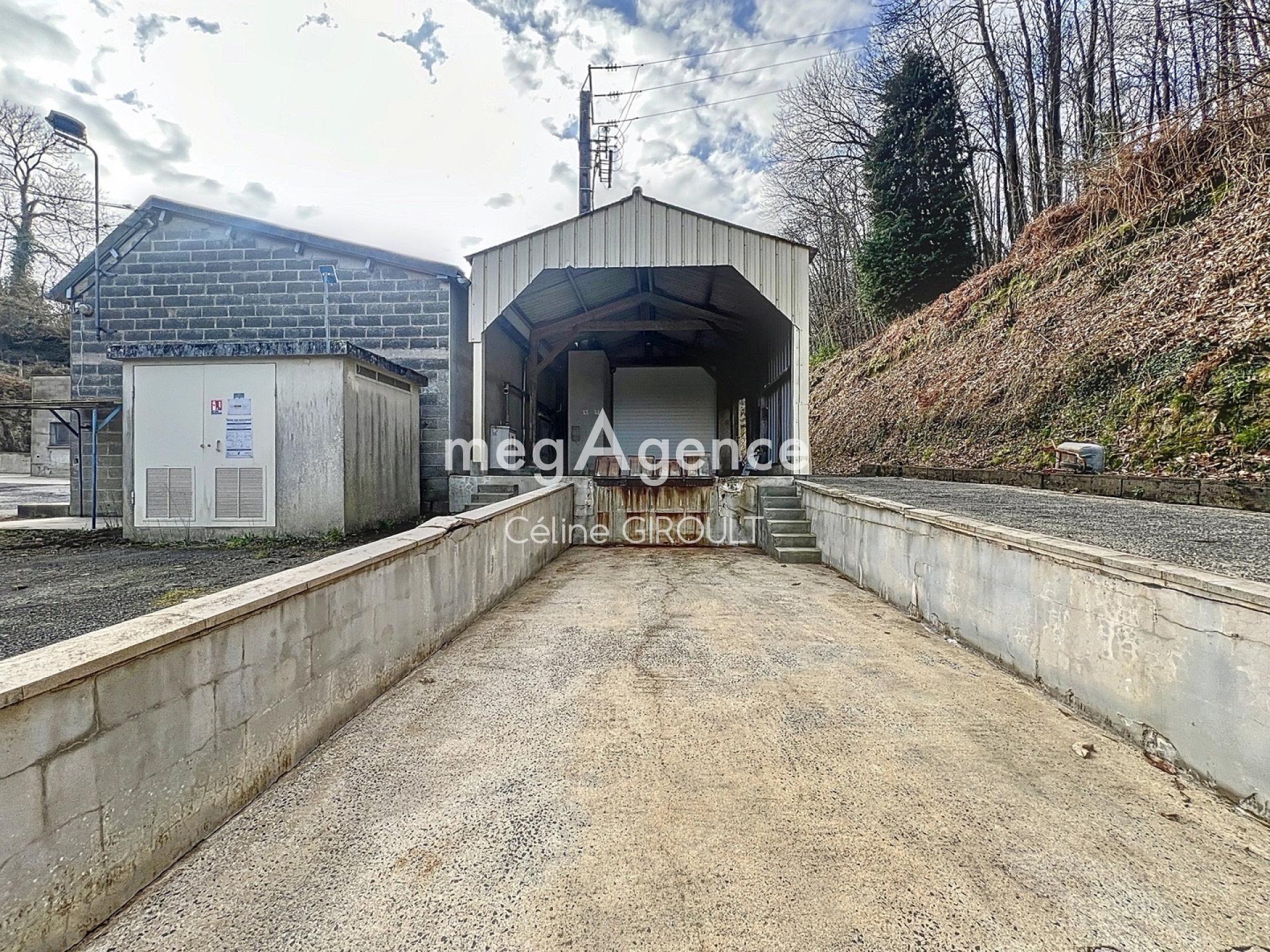 Miniature photo - 15 / 15