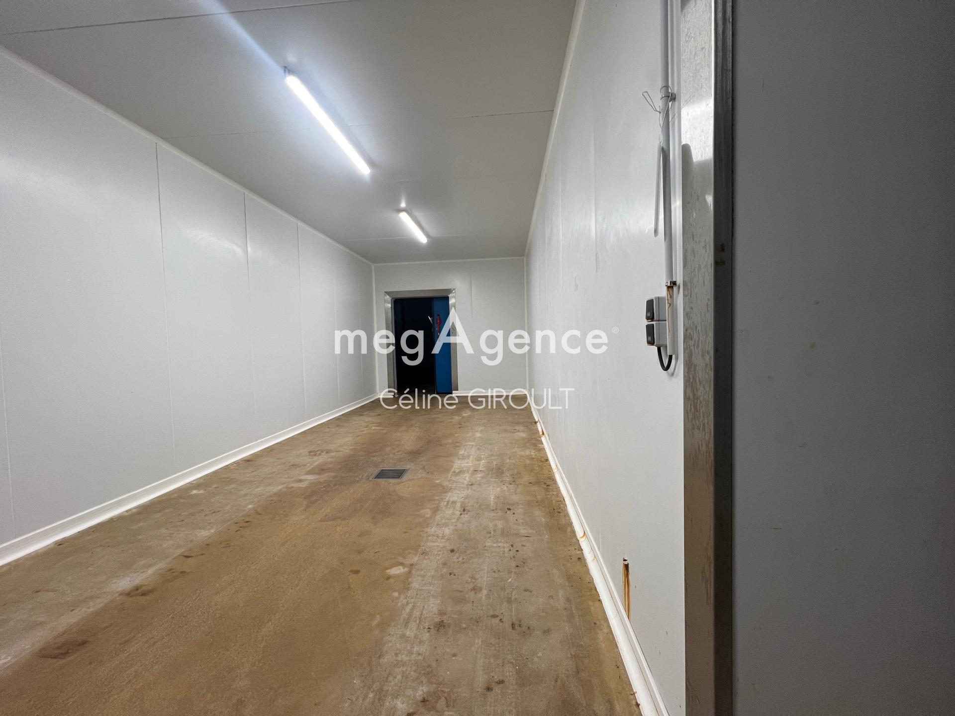 Miniature photo - 8 / 15