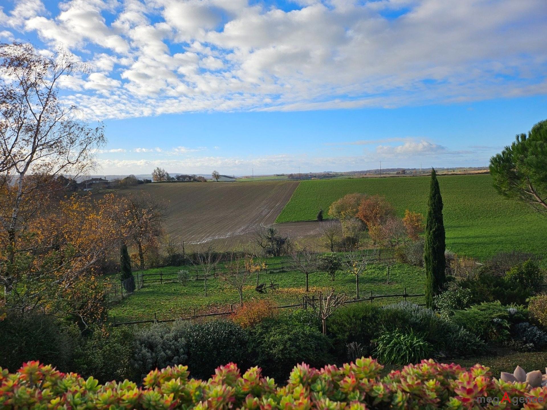 Miniature photo - 14 / 15