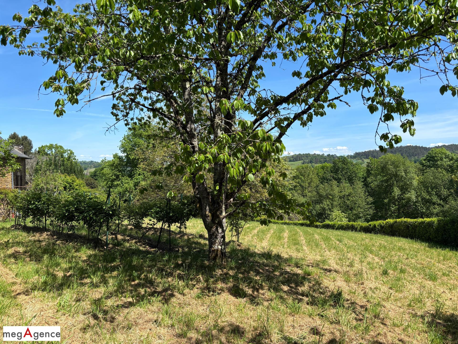 Miniature photo - 7 / 20