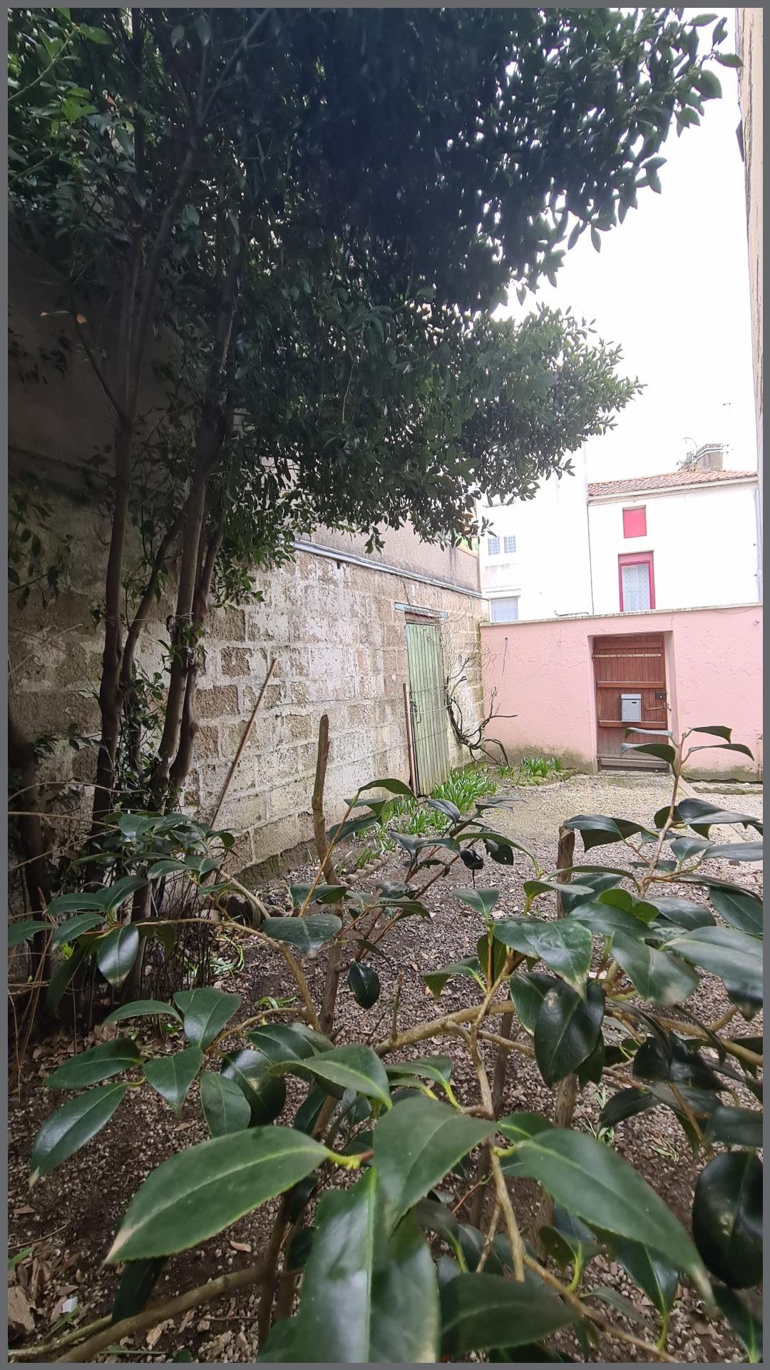 Miniature photo - 3 / 17