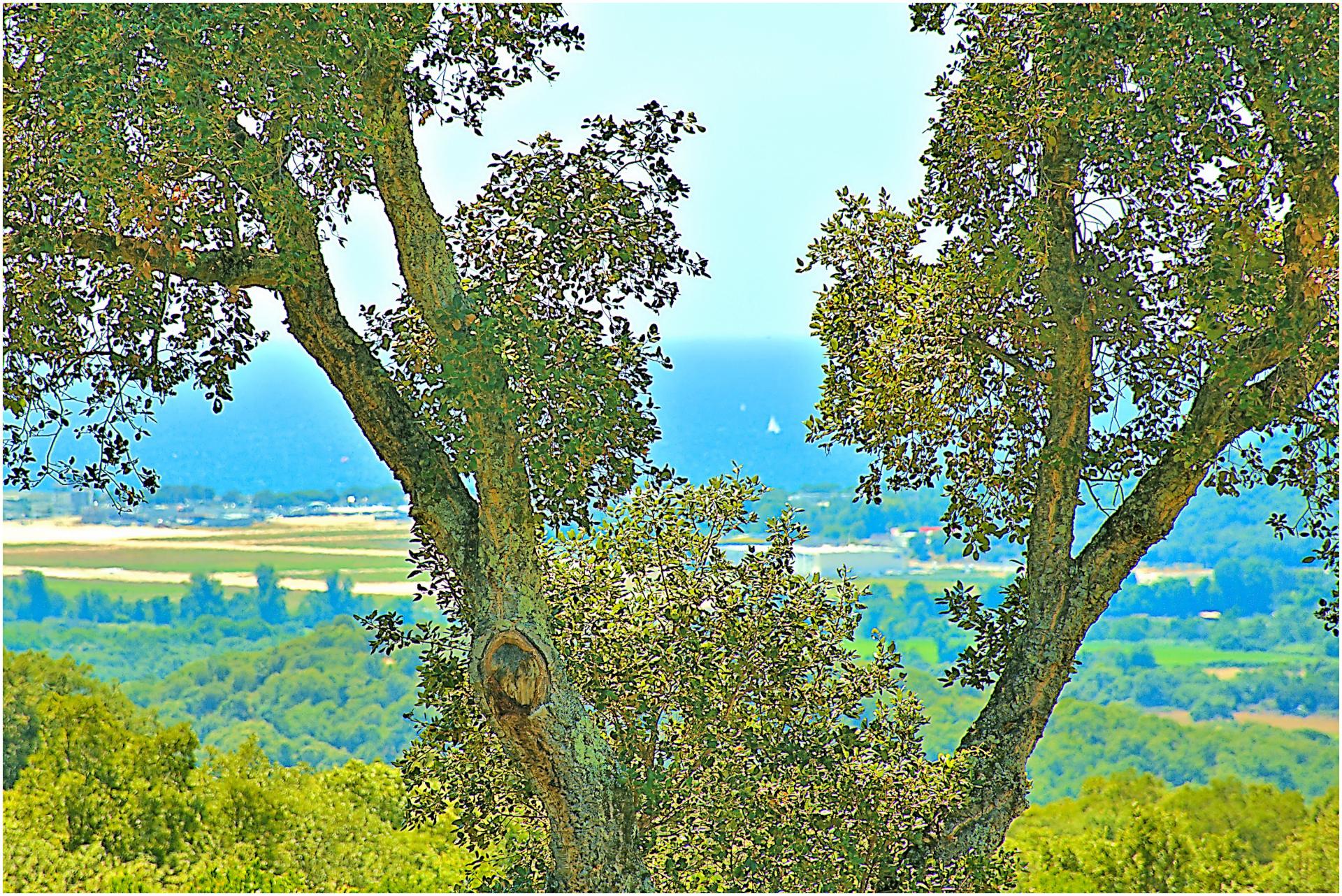 Miniature photo - 20 / 20