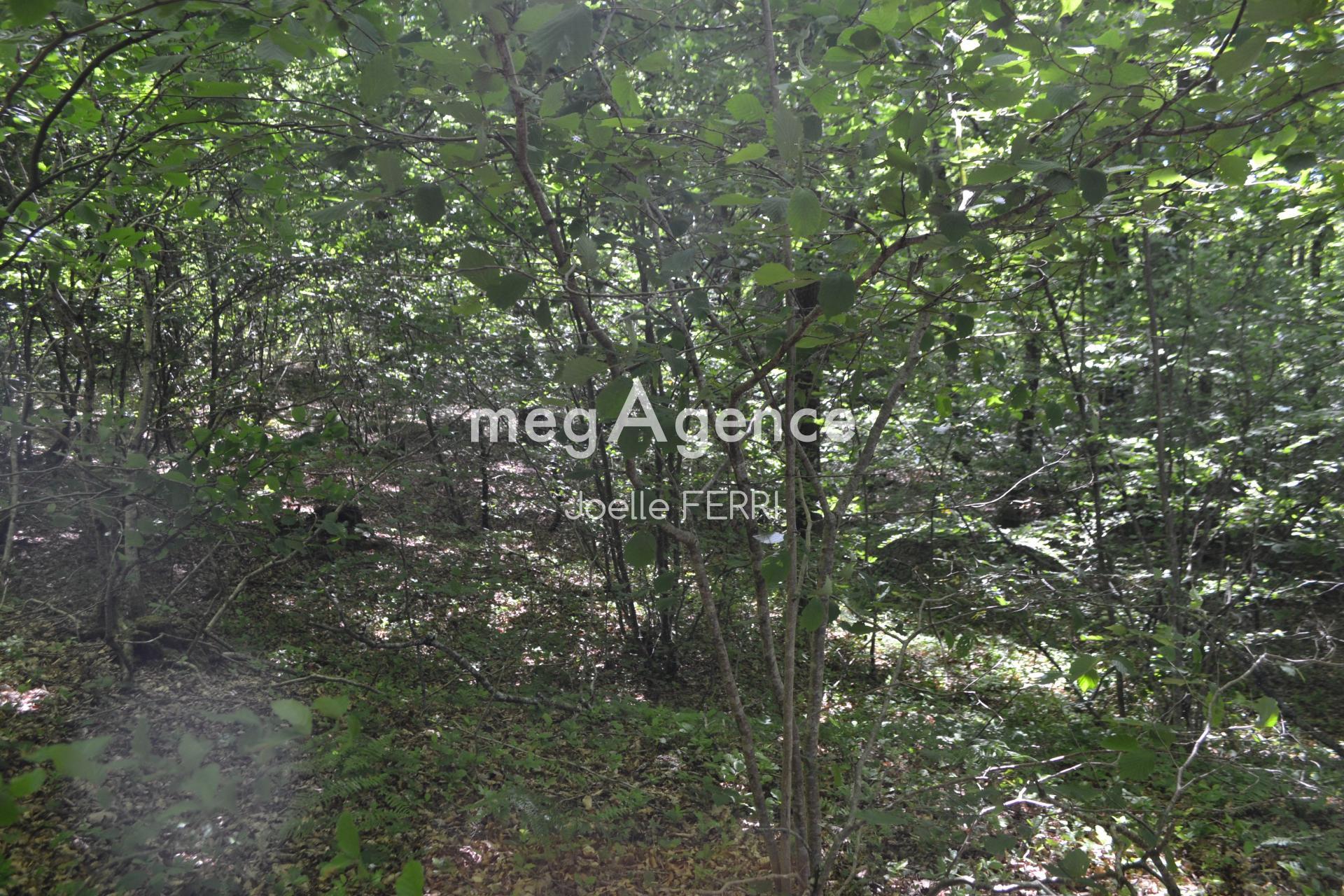 Miniature photo - 3 / 4