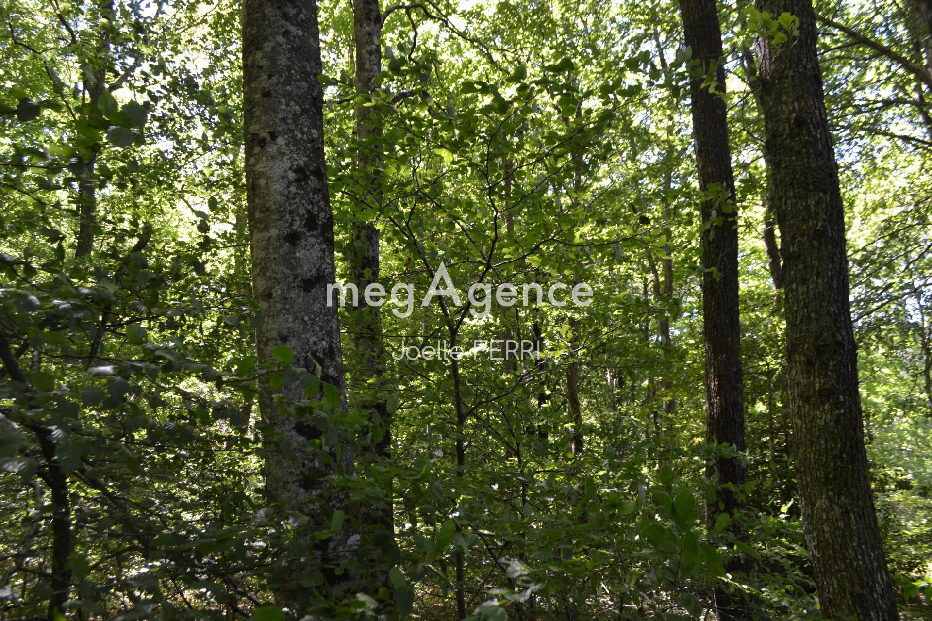 Photographie descriptive du bien