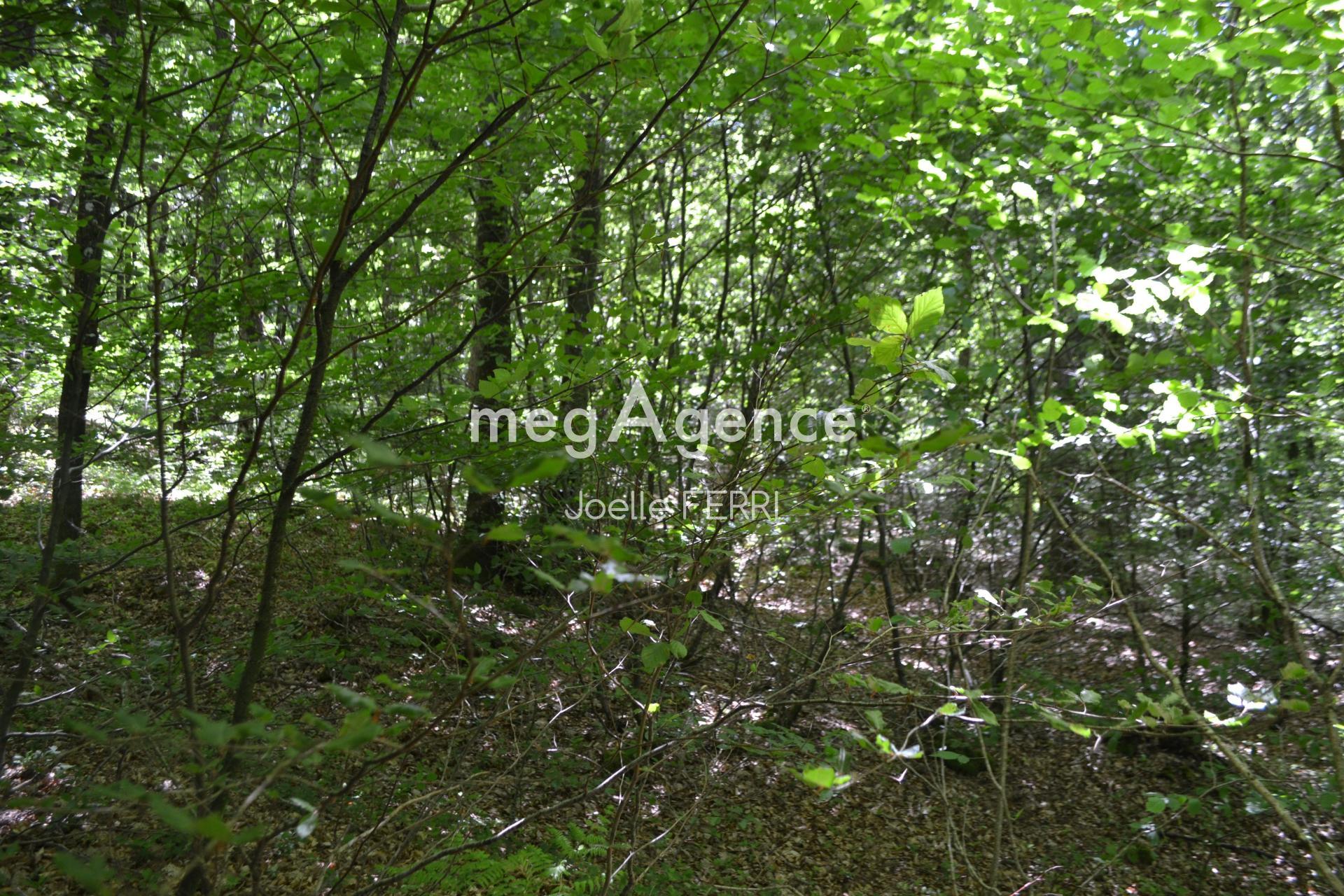 Miniature photo - 2 / 4