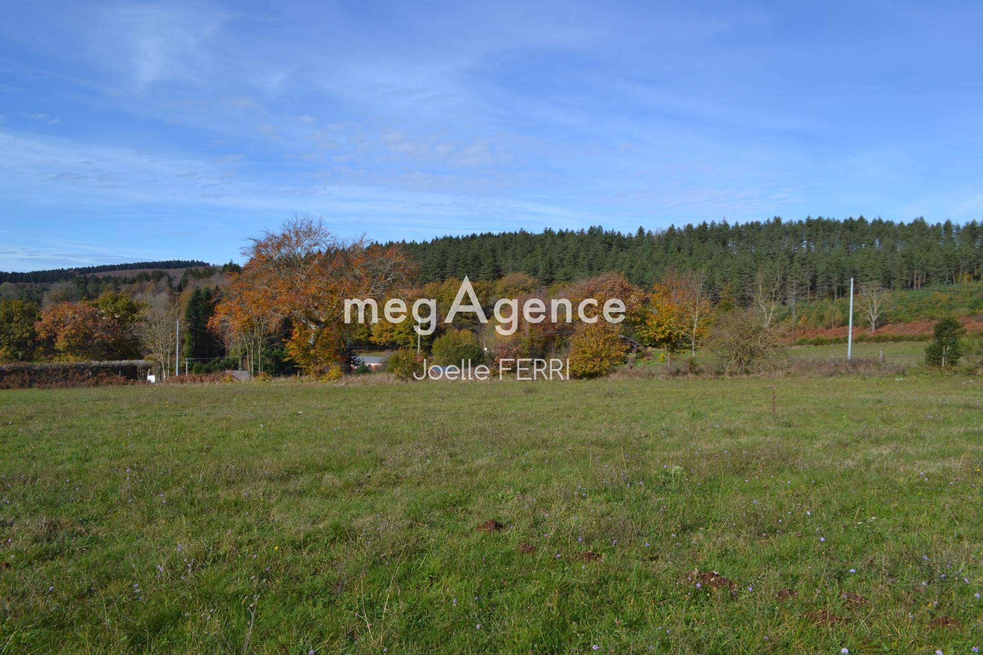 Miniature photo - 4 / 5