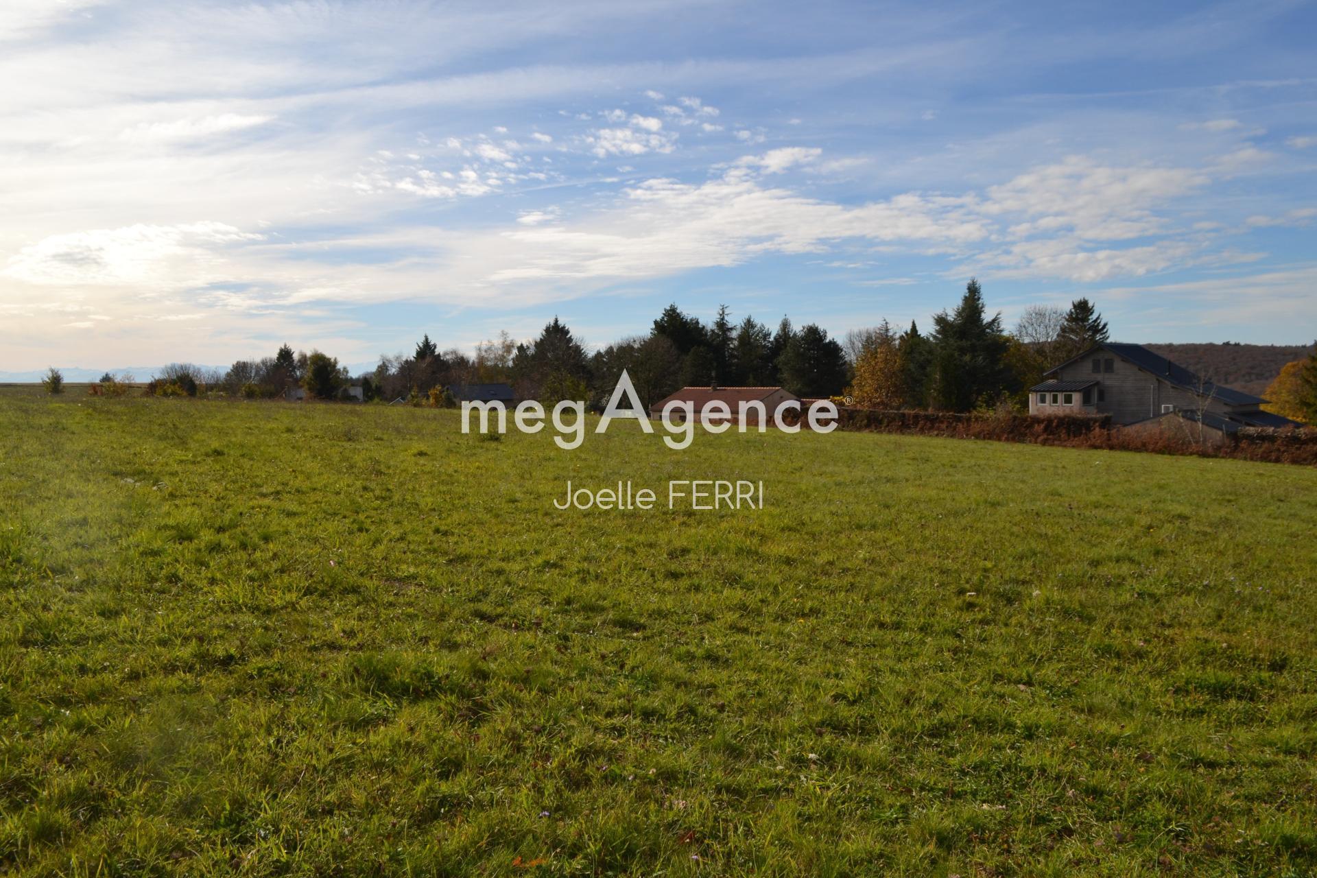 Miniature photo - 2 / 5