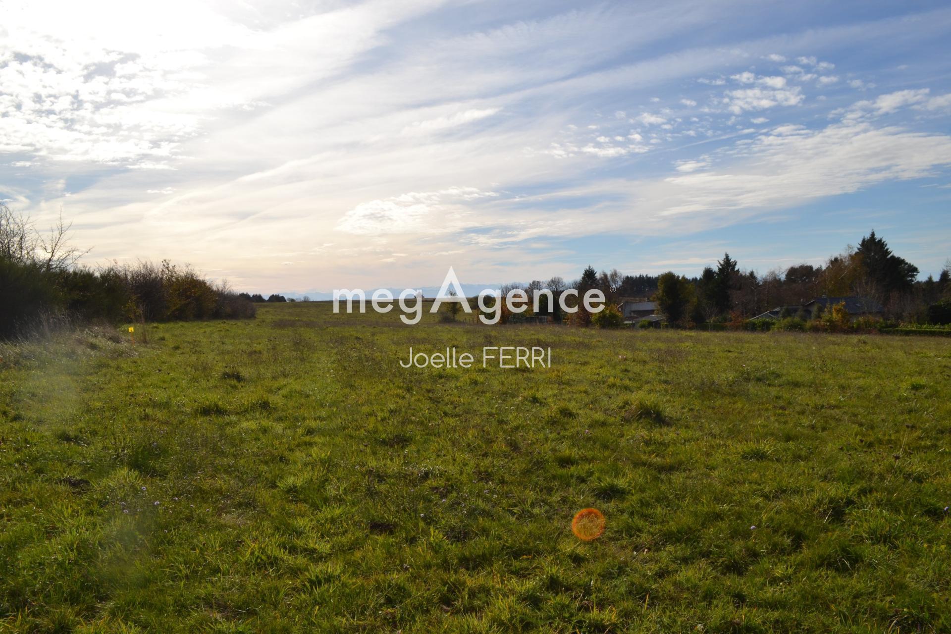 Miniature photo - 4 / 5