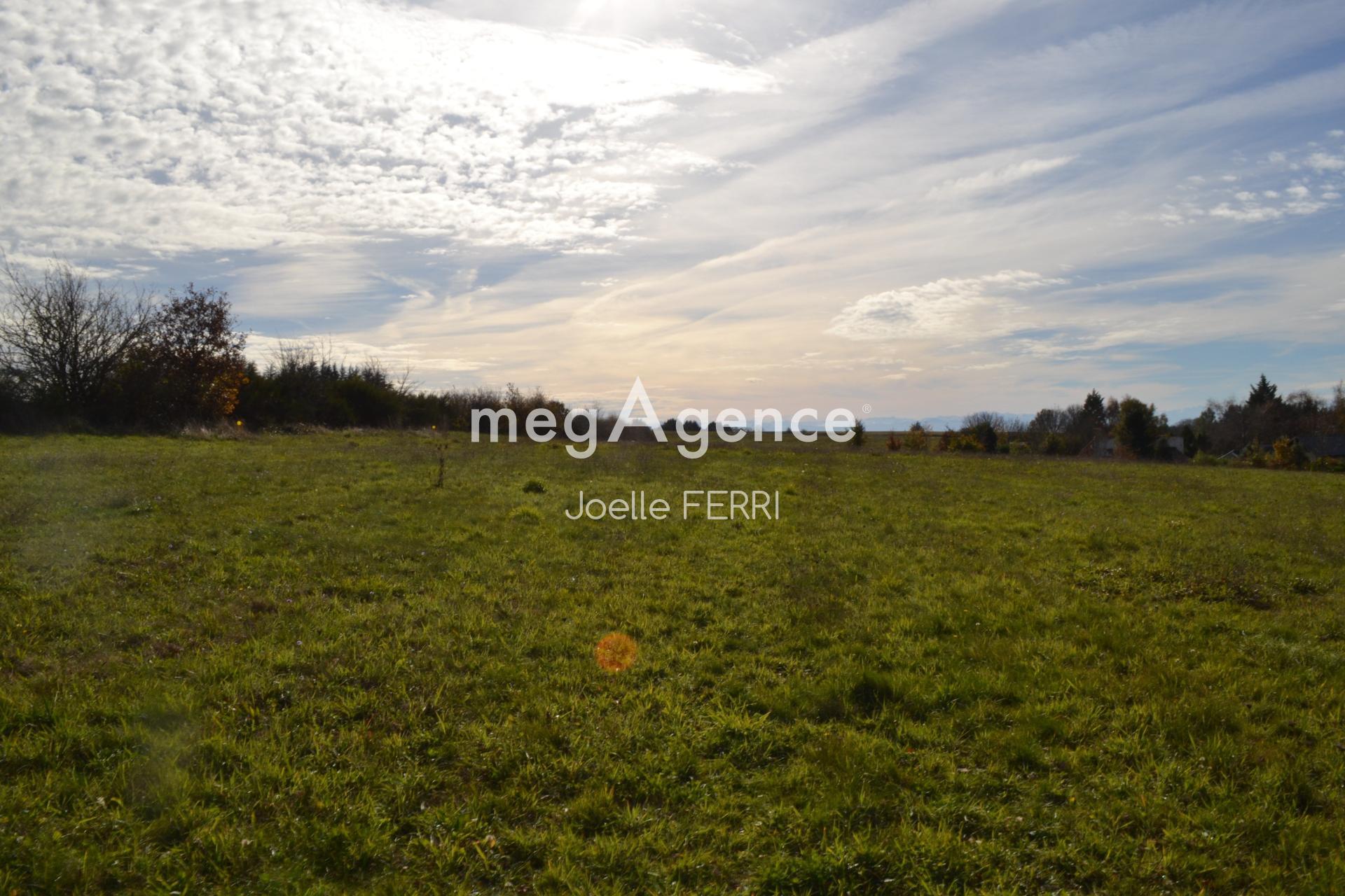 Miniature photo - 3 / 5