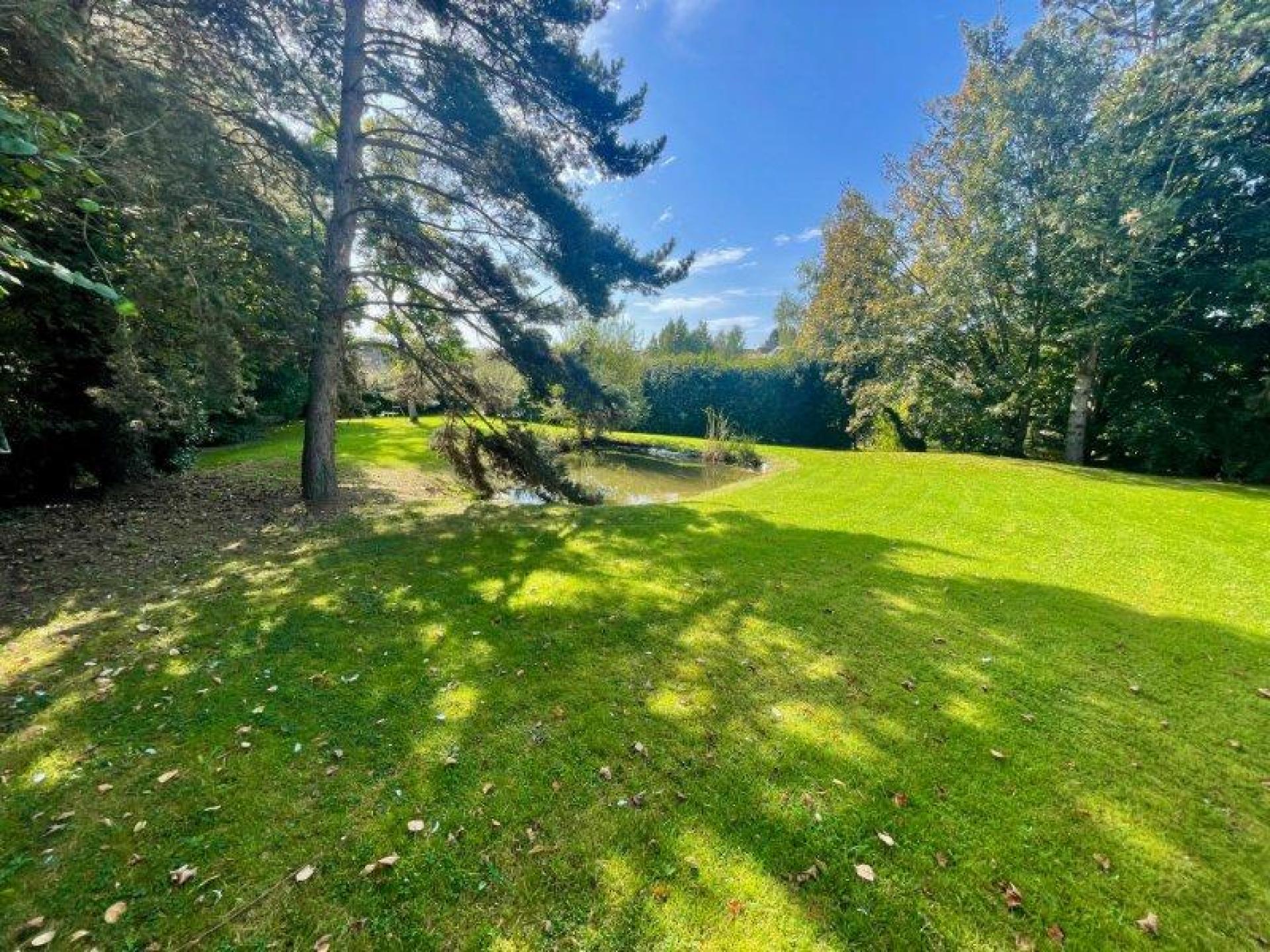 Miniature photo - 3 / 18