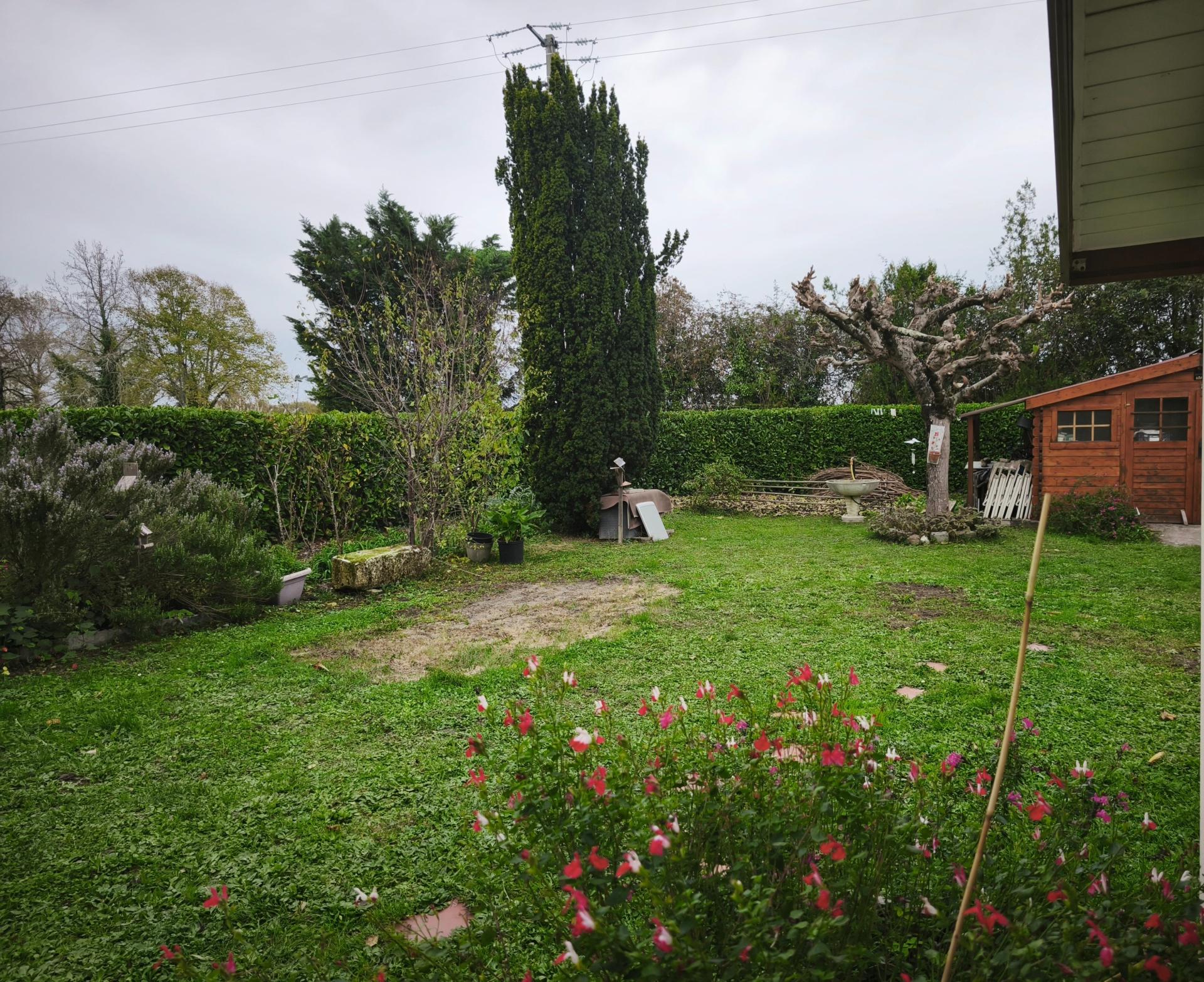 Miniature photo - 2 / 14