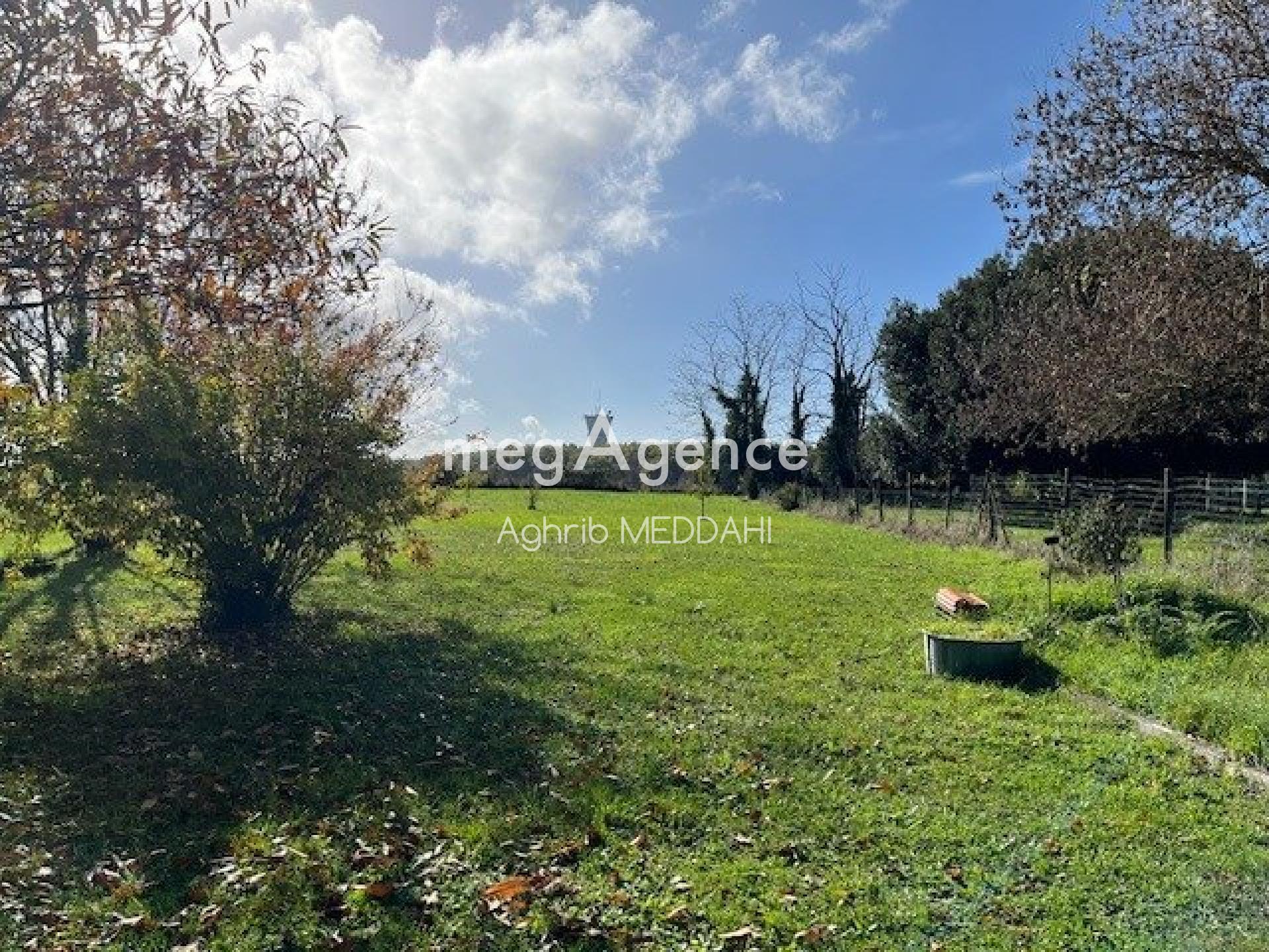 Miniature photo - 3 / 8