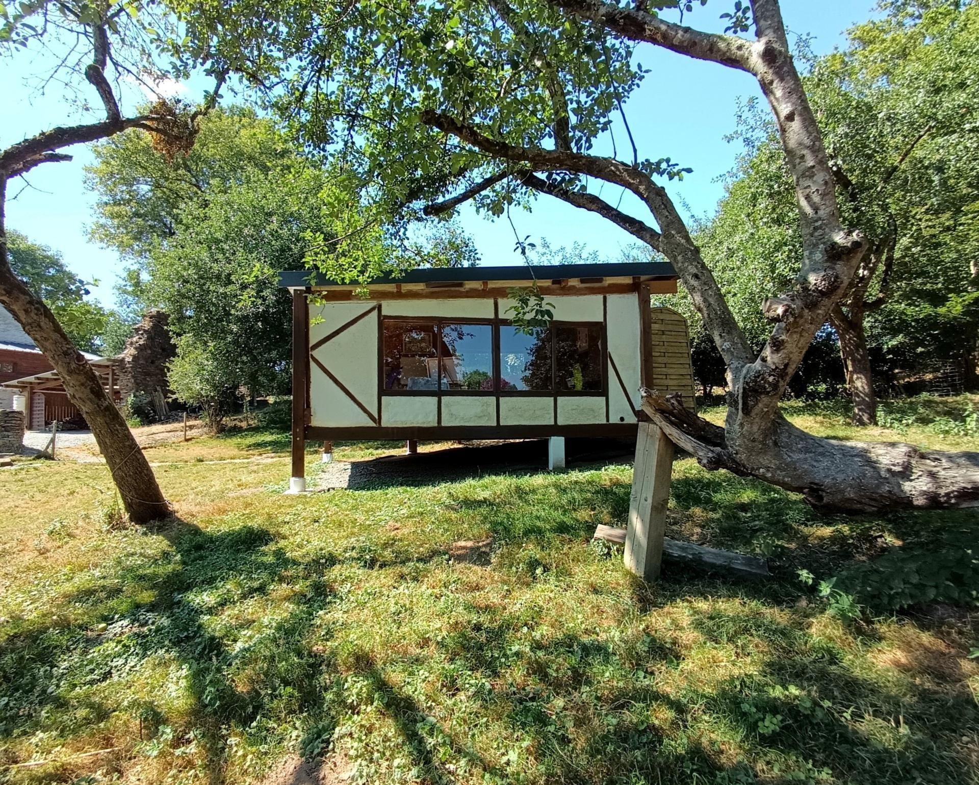 Miniature photo - 12 / 12