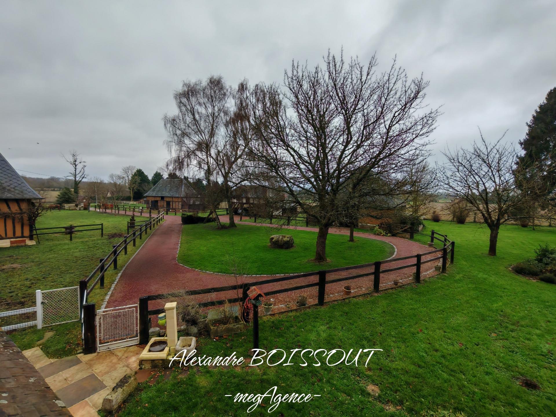 Miniature photo - 3 / 11