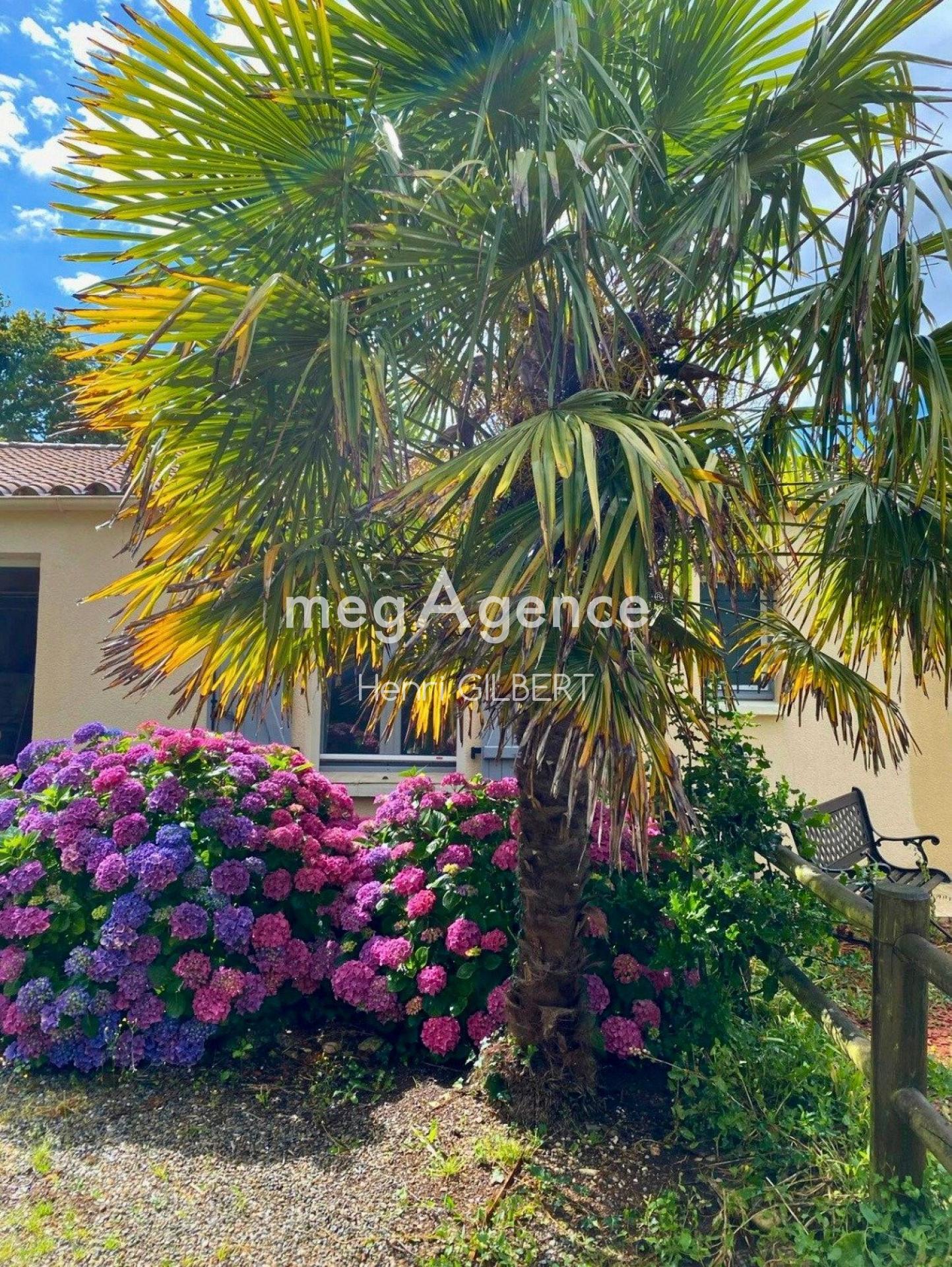 Miniature photo - 14 / 18