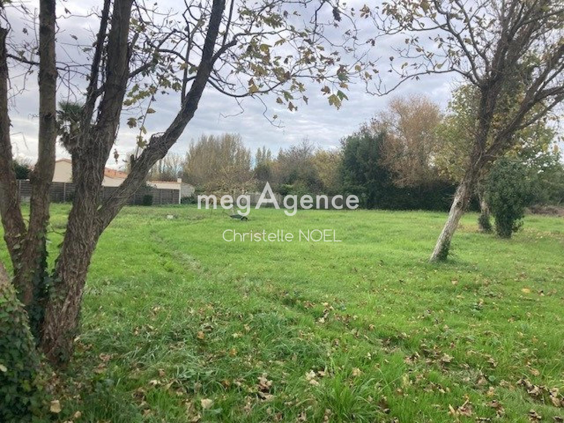 Miniature photo - 4 / 4