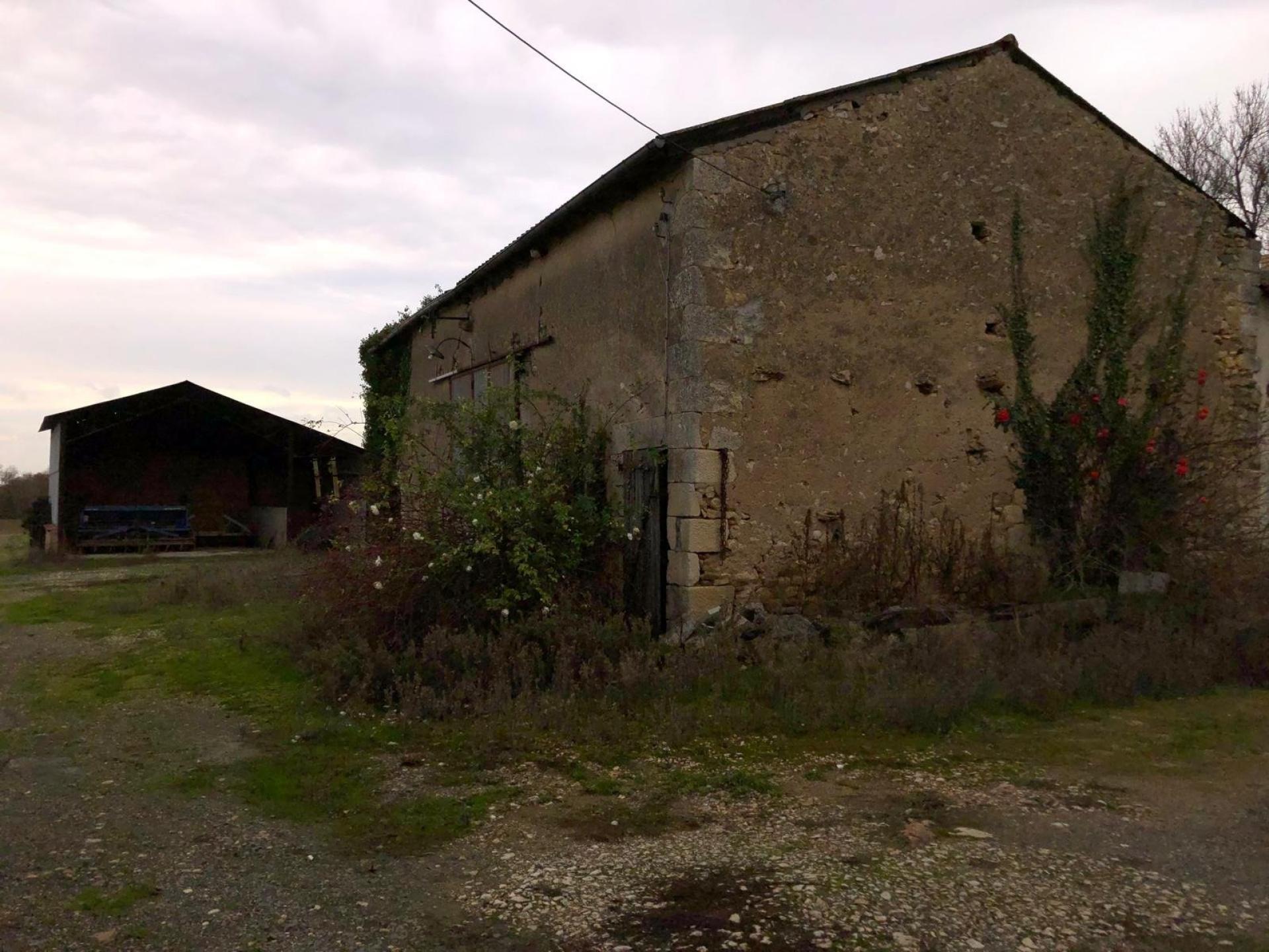 Miniature photo - 3 / 7