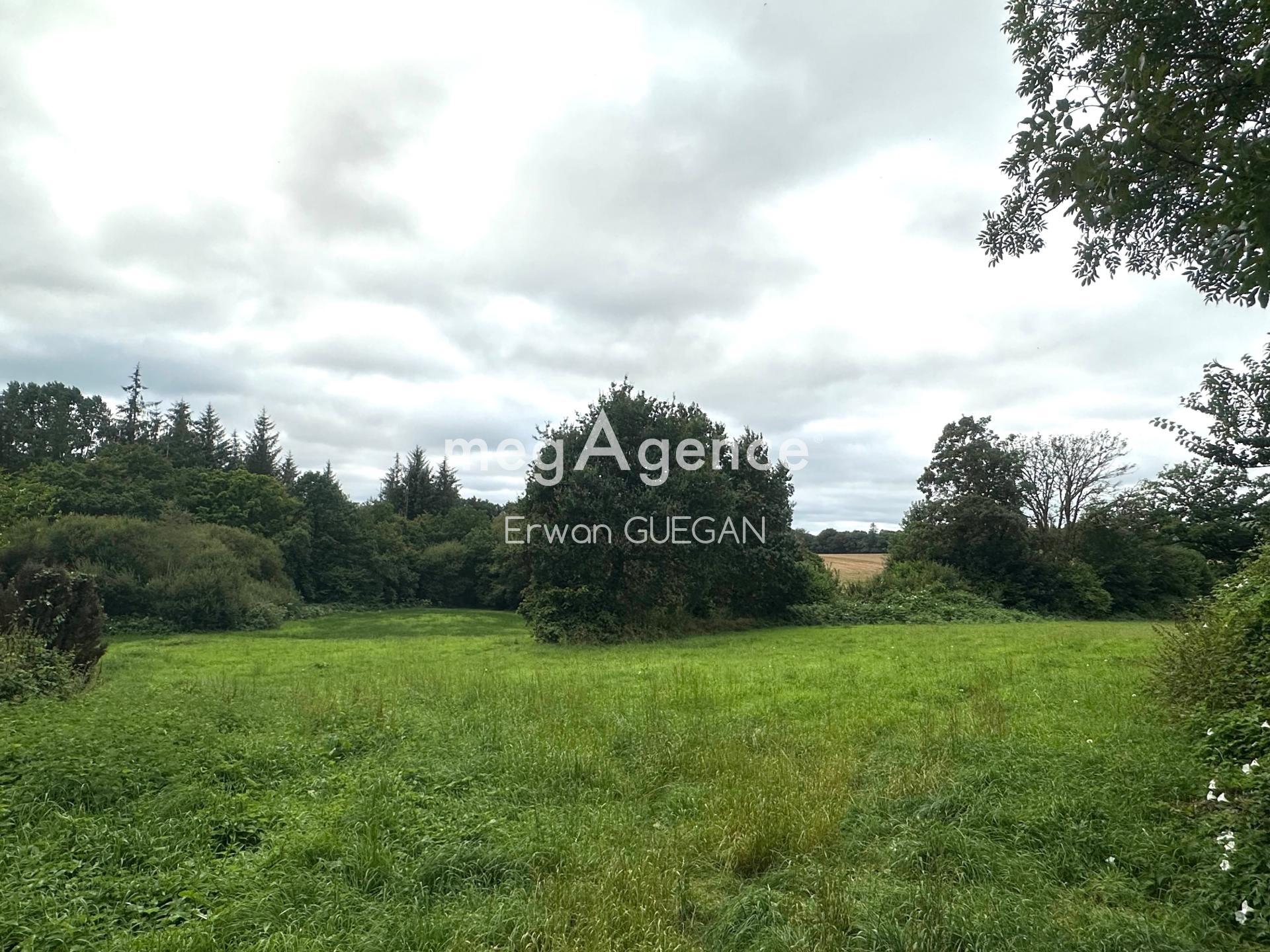 Miniature photo - 2 / 16