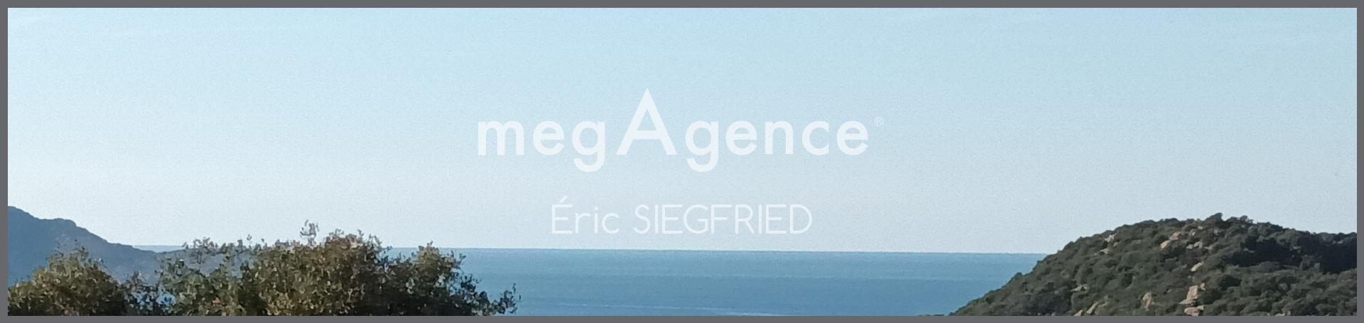 Miniature photo - 2 / 20