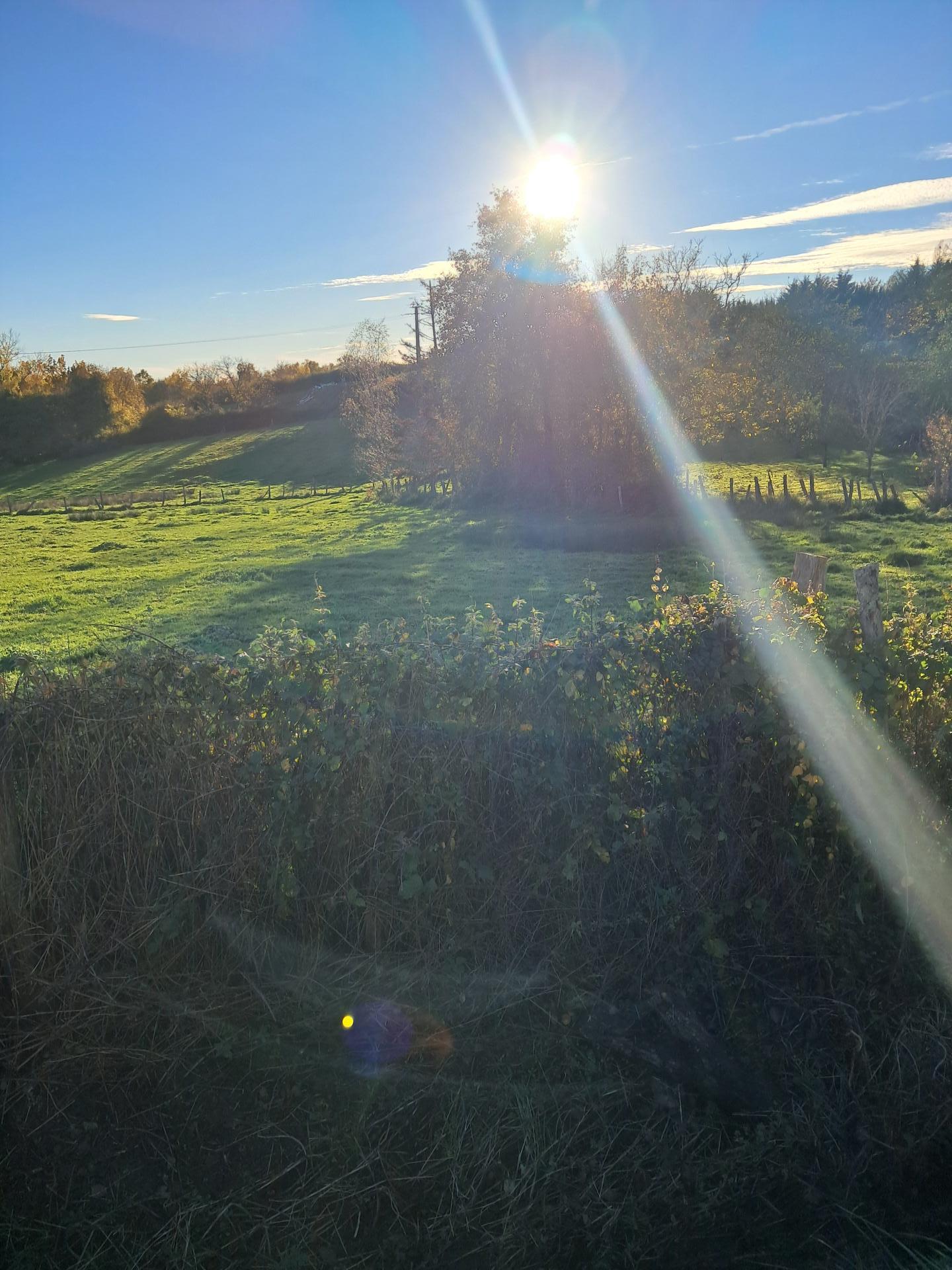 Photographie descriptive du bien