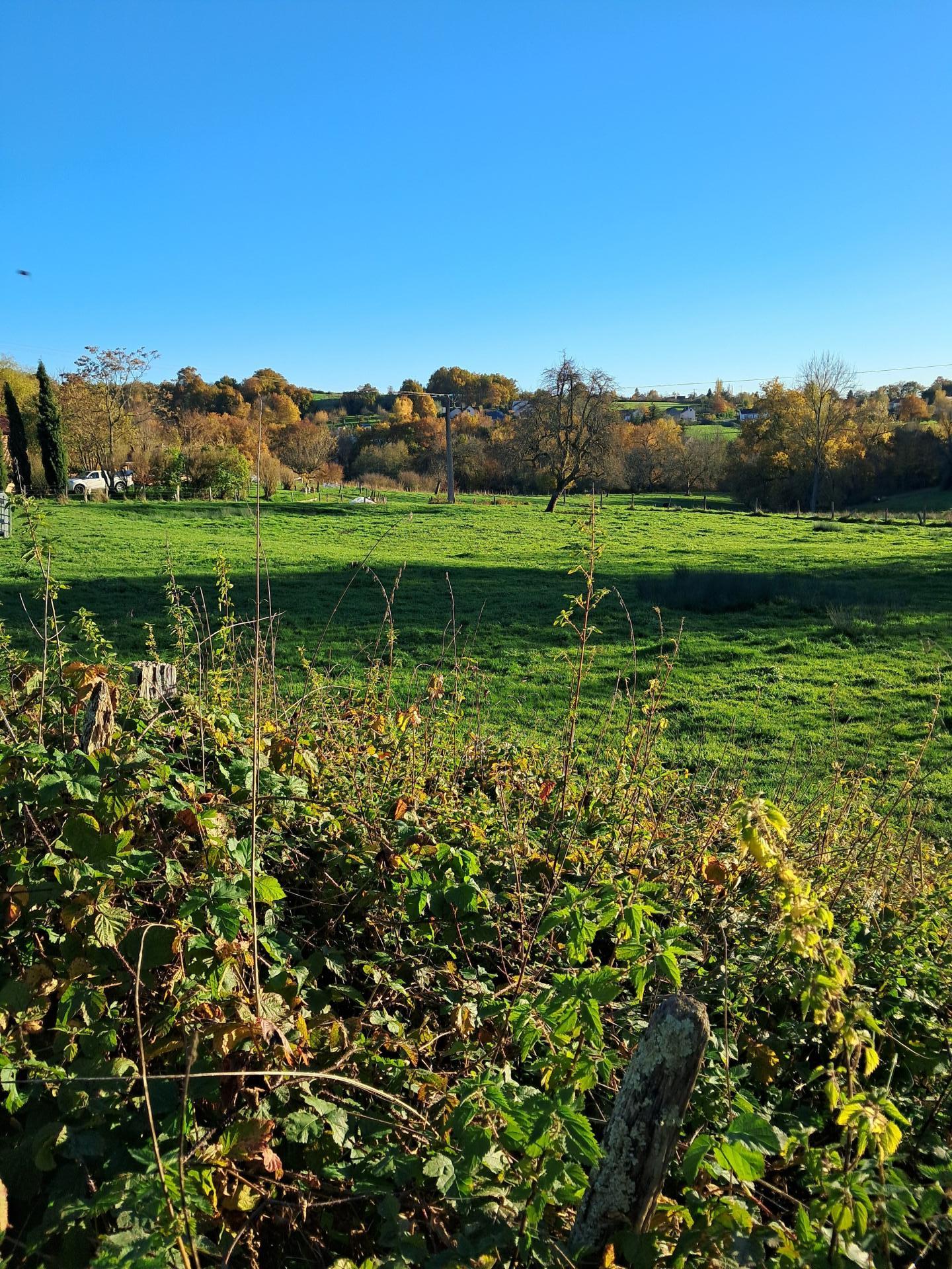 Miniature photo - 3 / 3