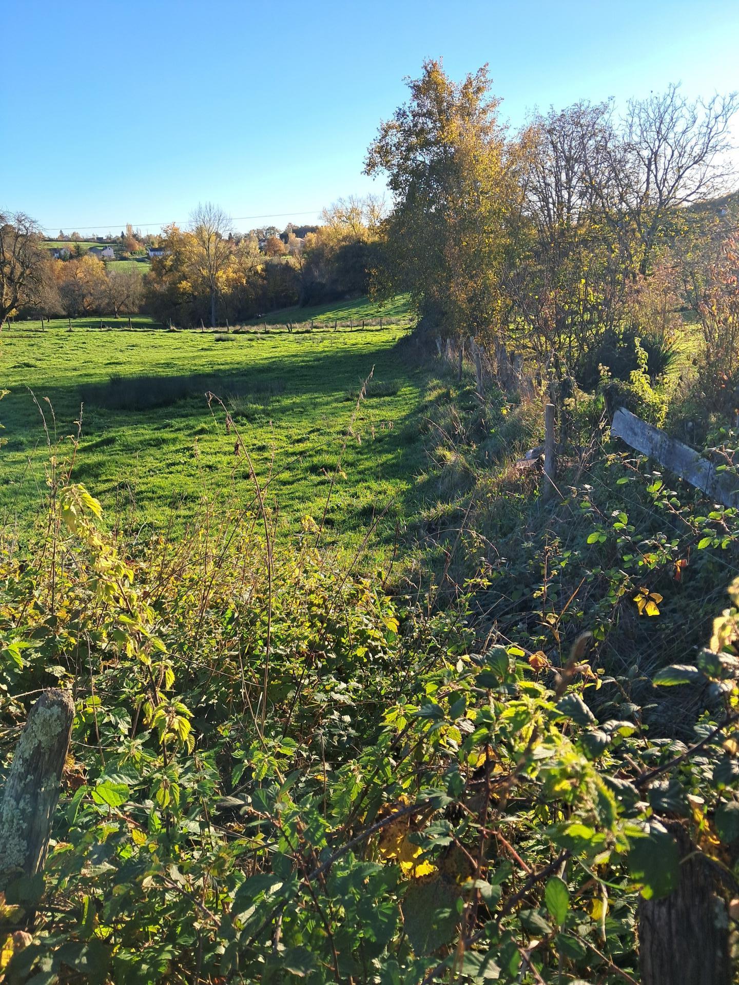 Miniature photo - 2 / 3