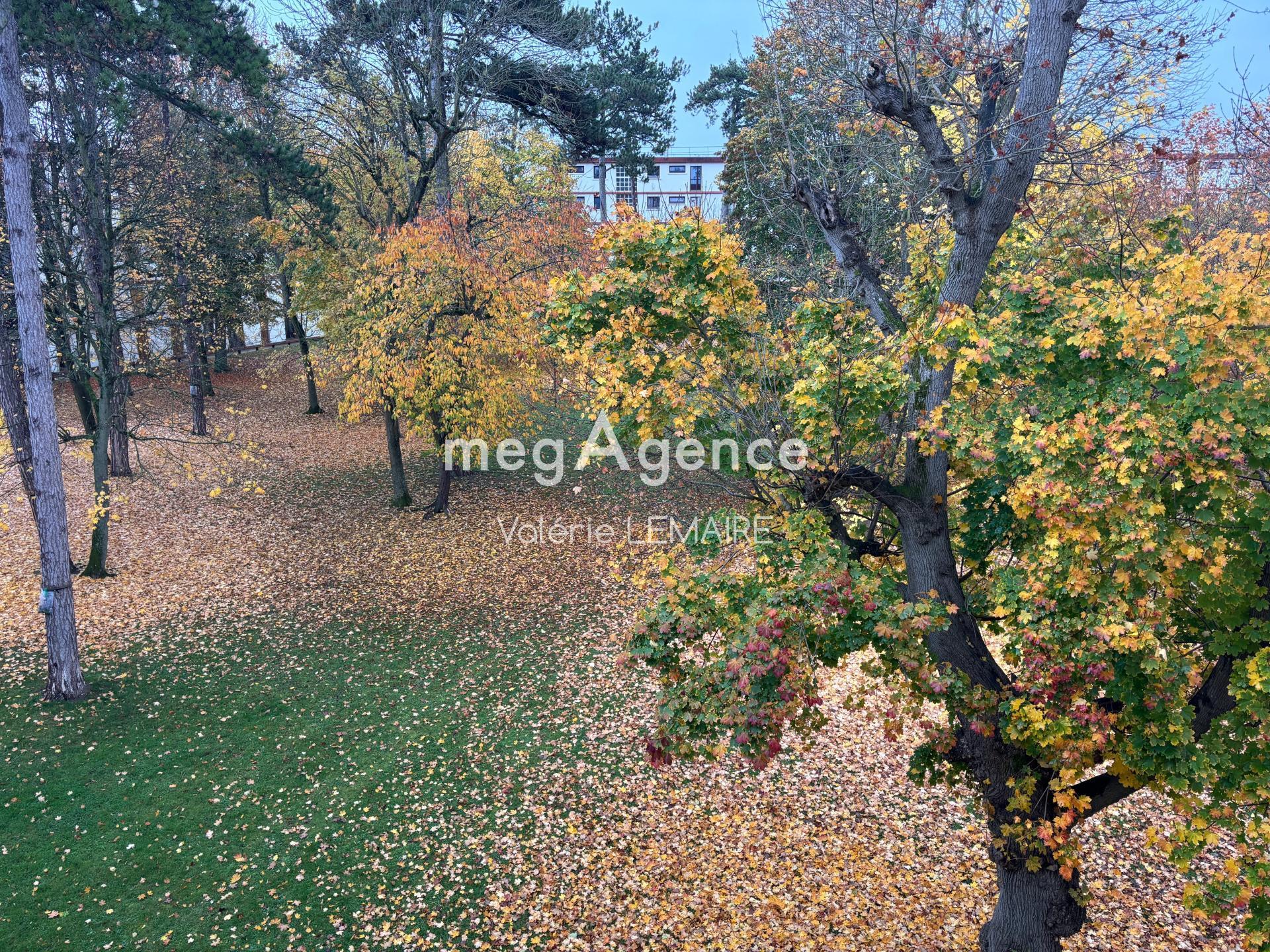 Miniature photo - 3 / 16