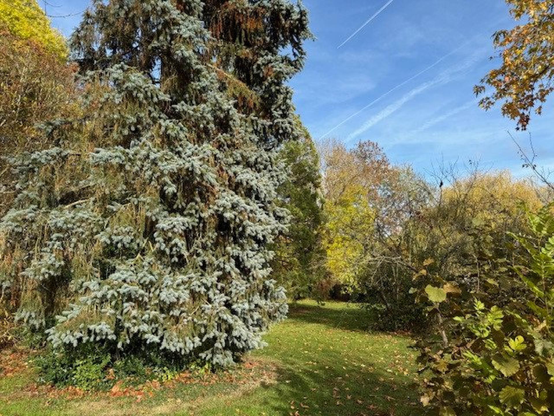 Miniature photo - 16 / 16