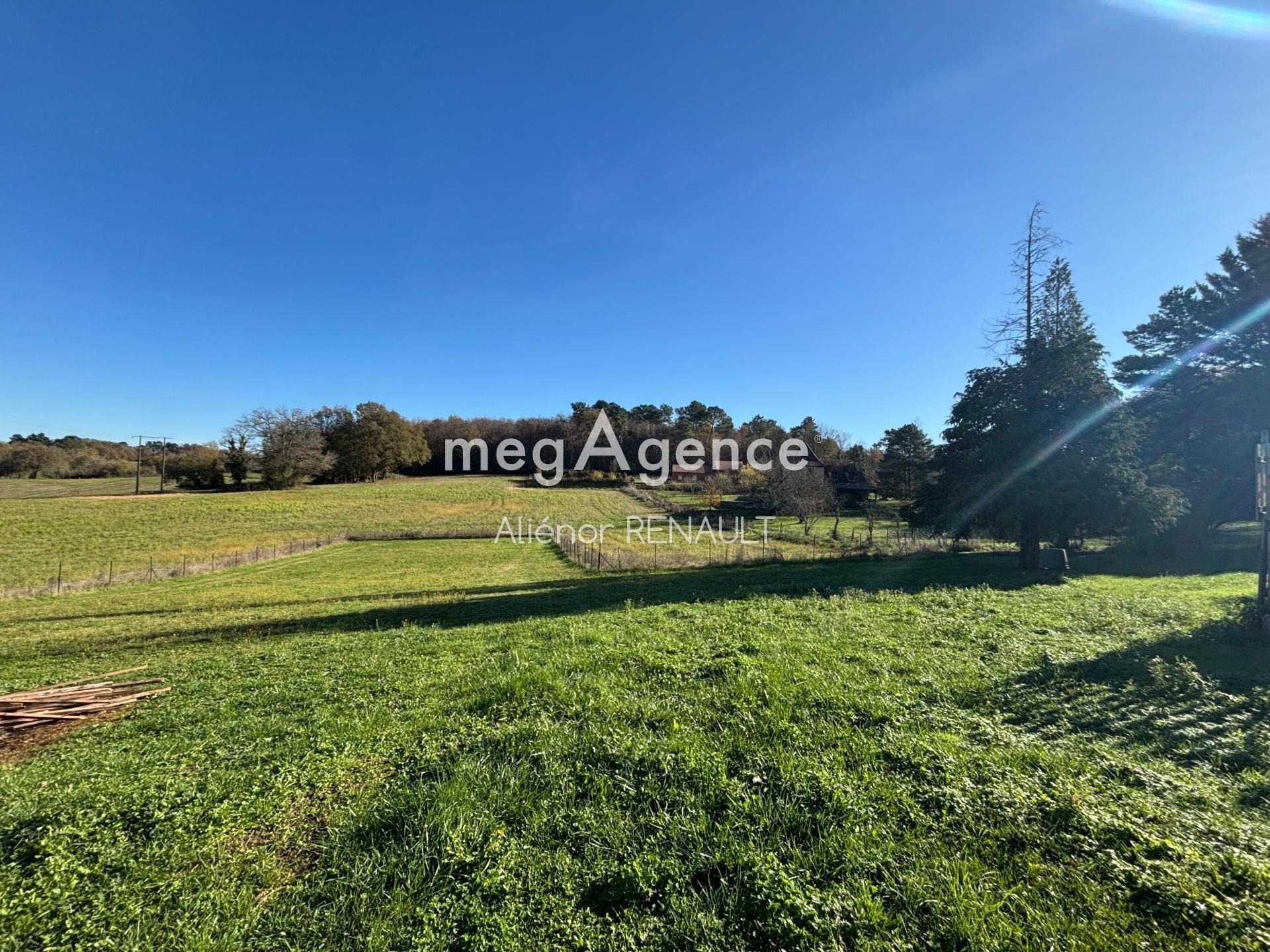 Miniature photo - 3 / 13