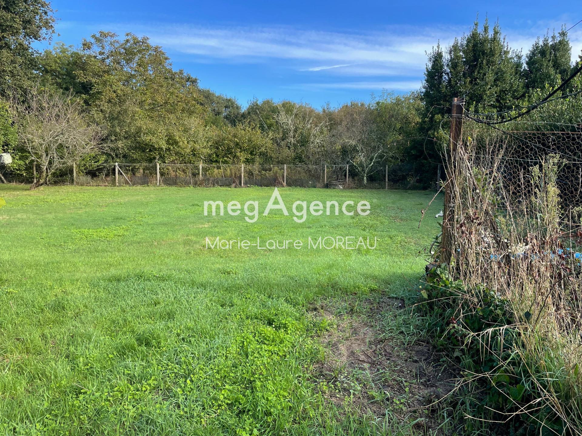 Miniature photo - 4 / 20