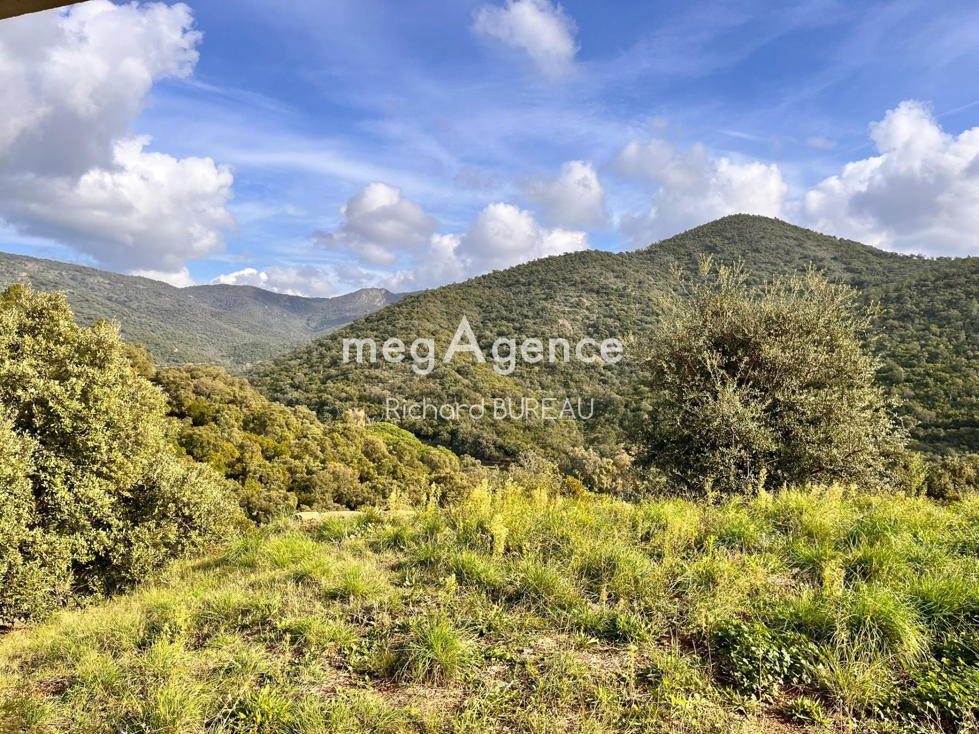 Miniature photo - 8 / 8