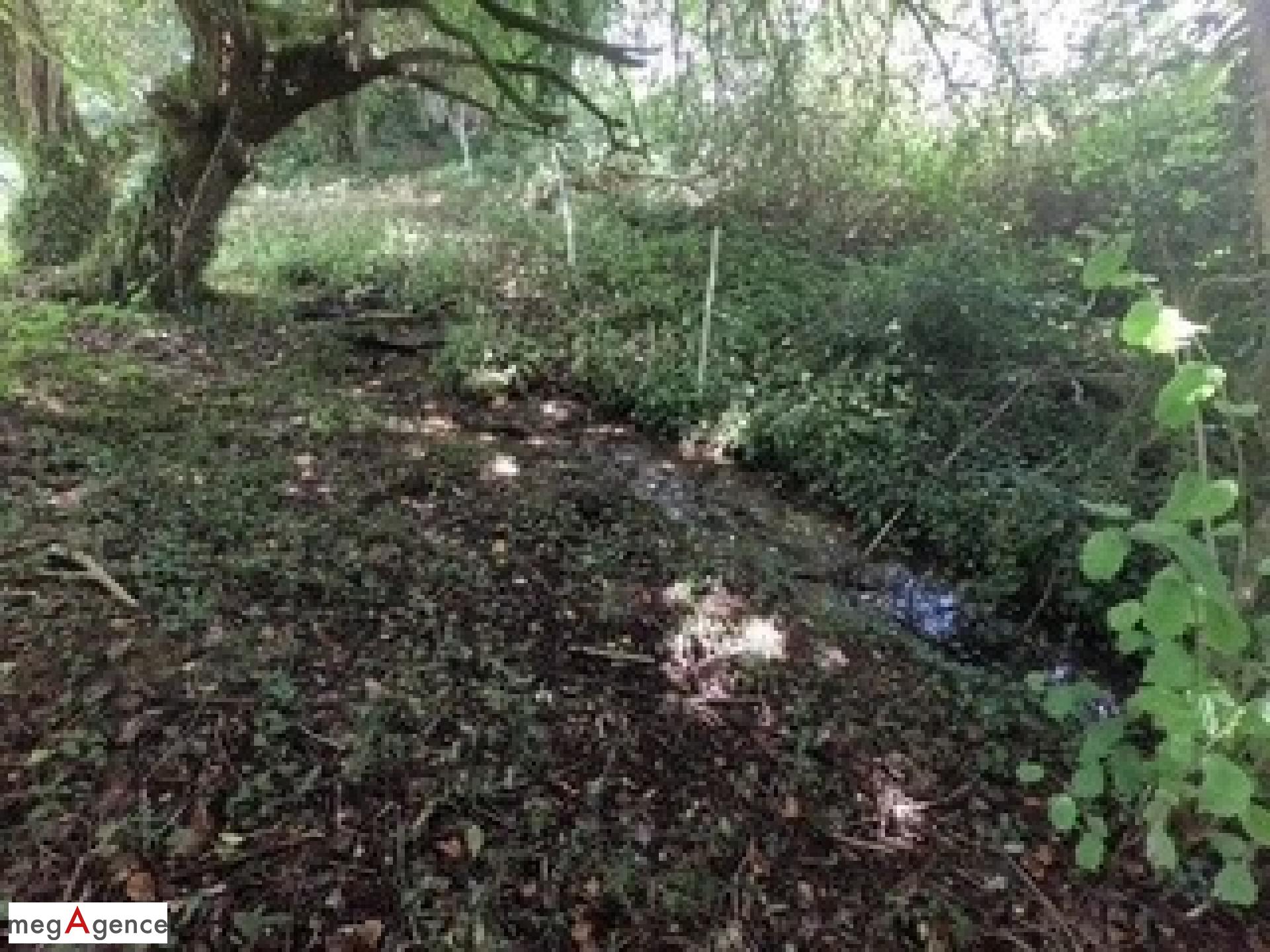 Miniature photo - 7 / 8