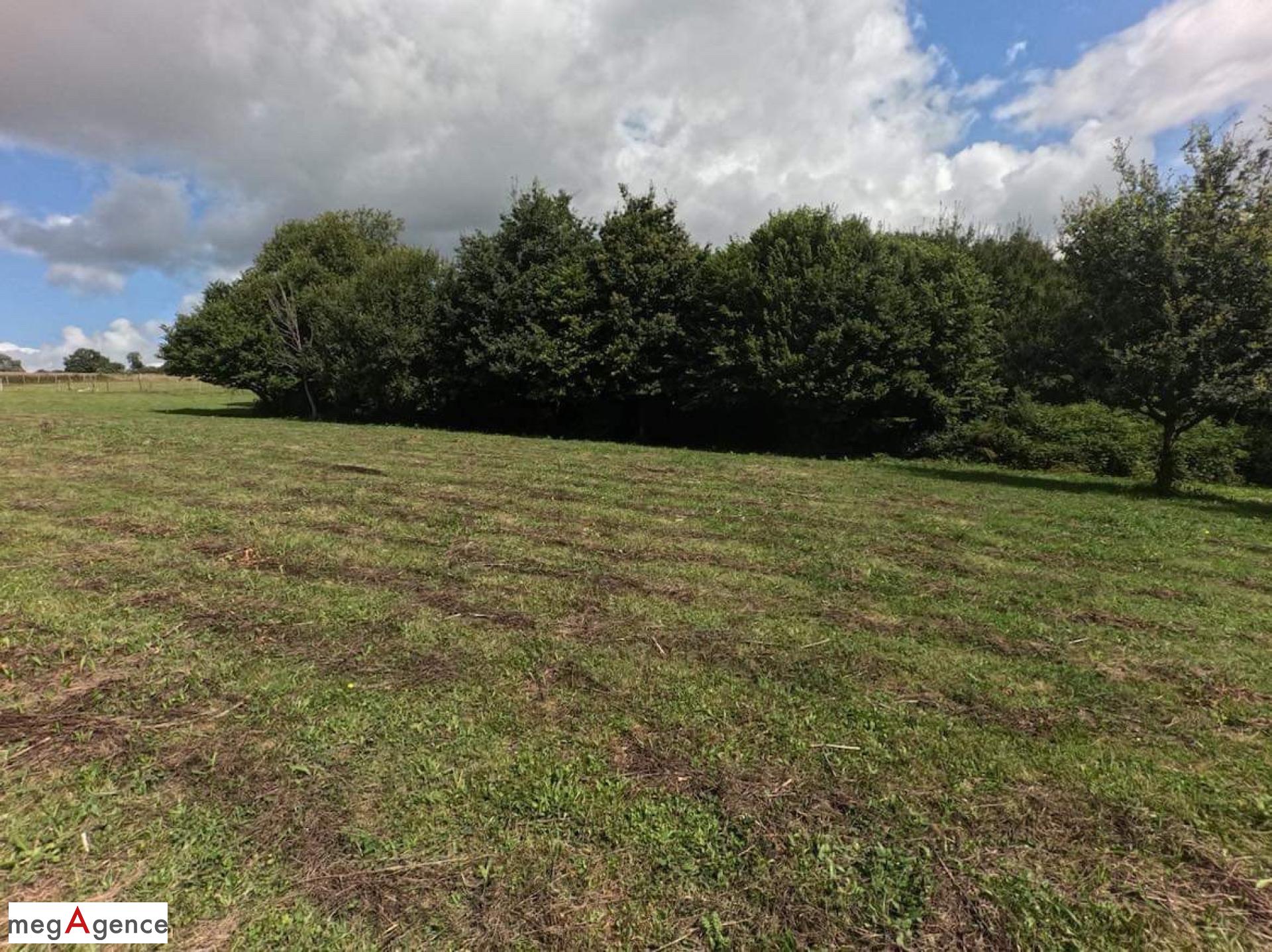 Miniature photo - 8 / 8