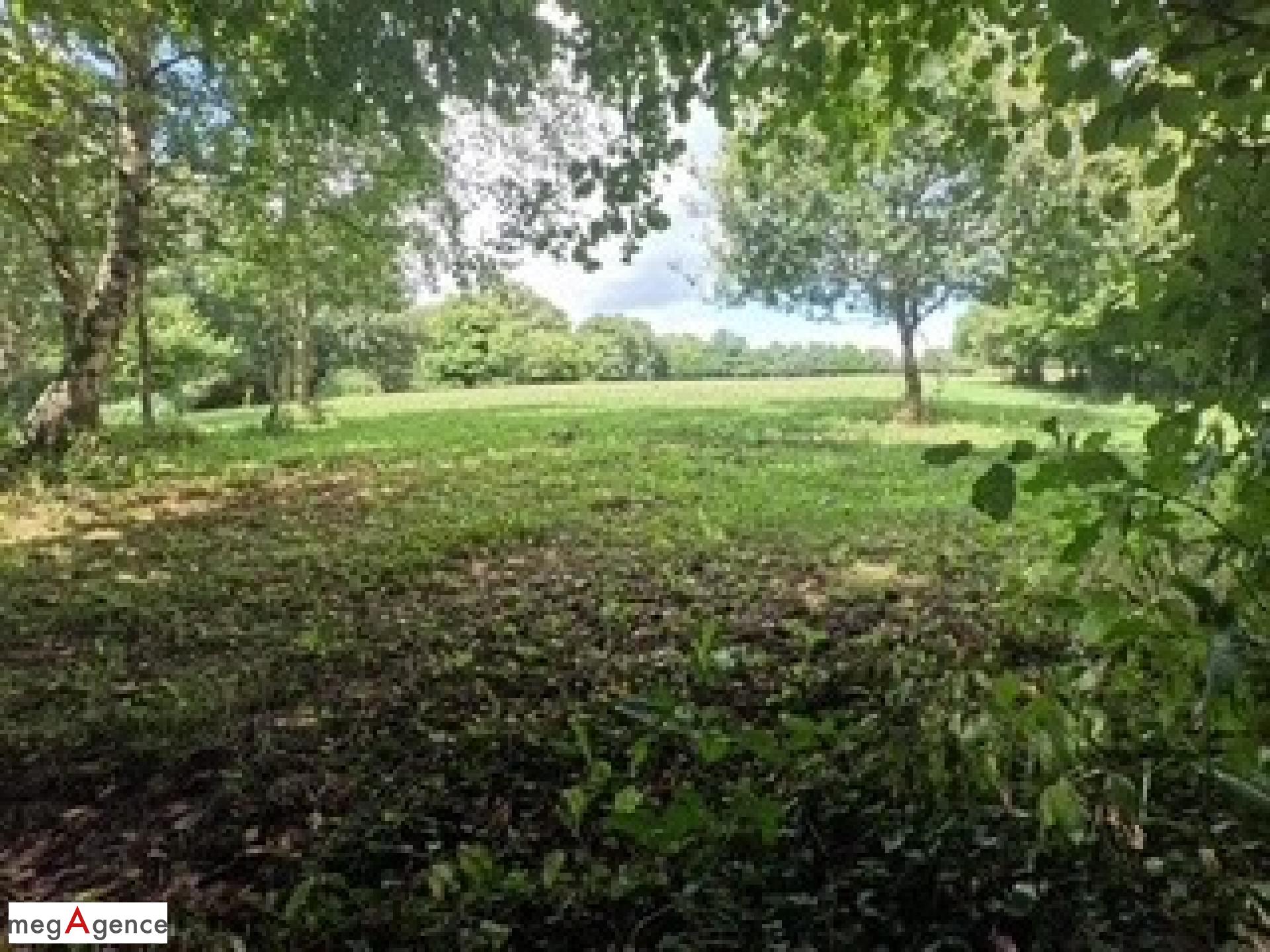 Miniature photo - 6 / 8