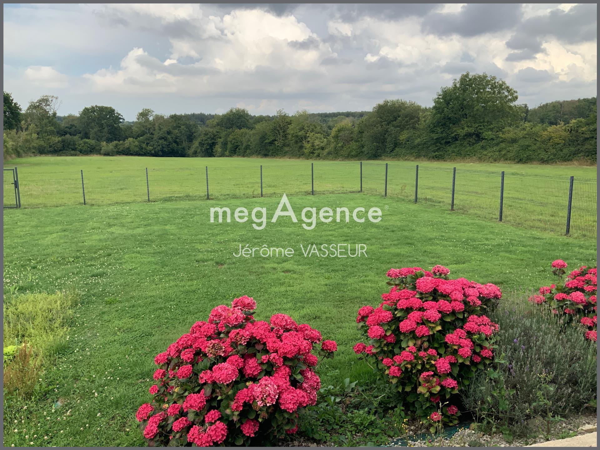 Miniature photo - 3 / 8