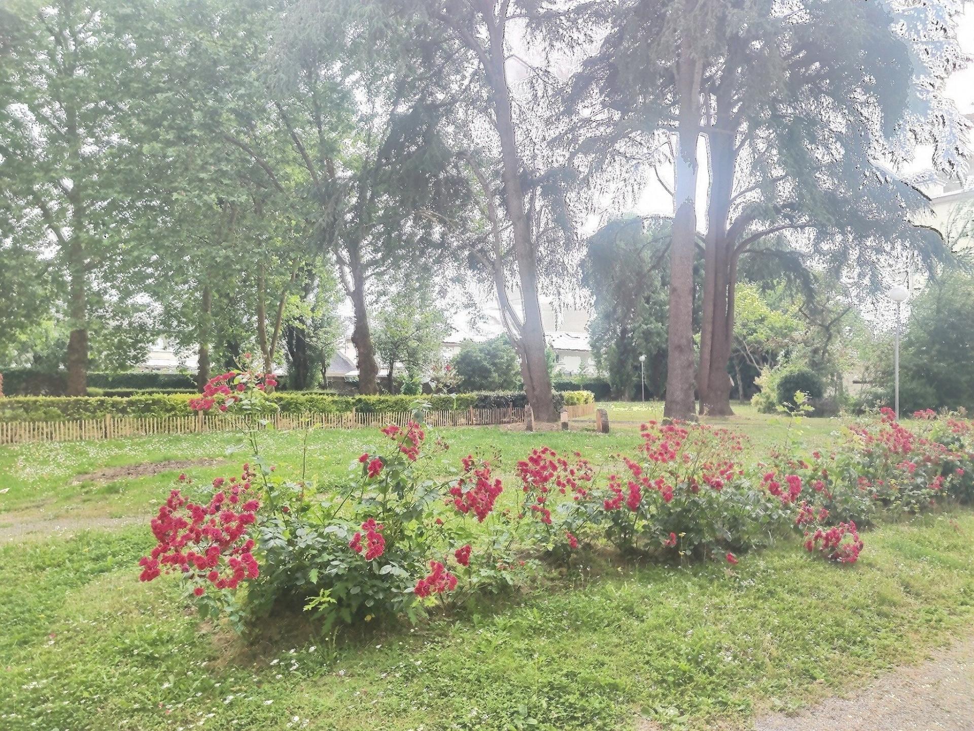 Miniature photo - 3 / 9