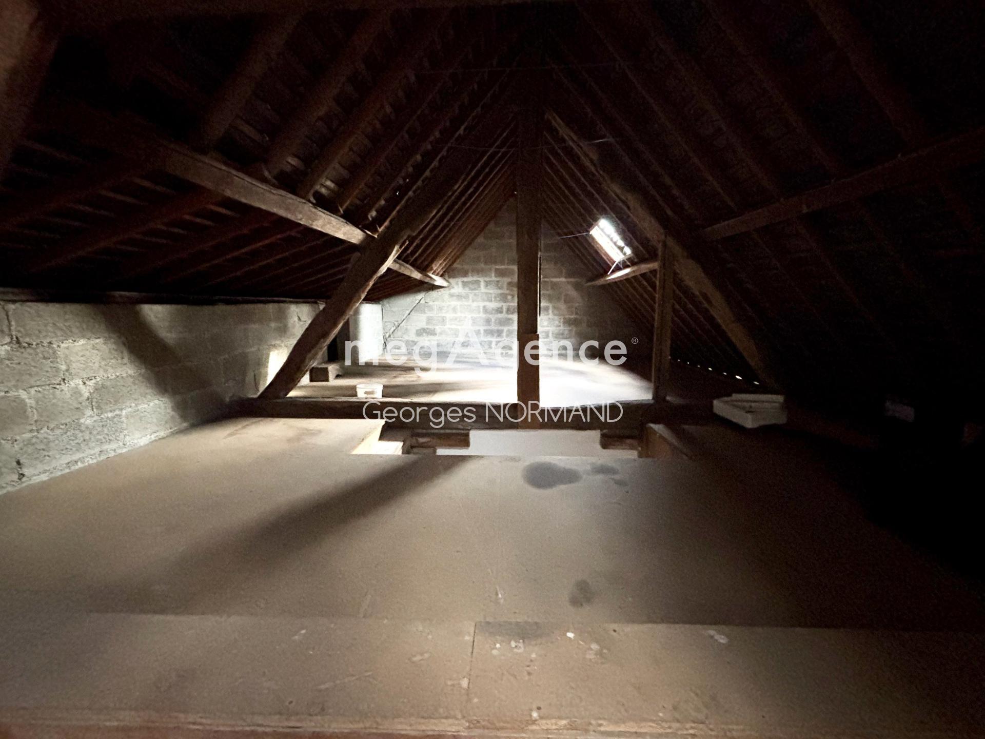 Miniature photo - 8 / 8