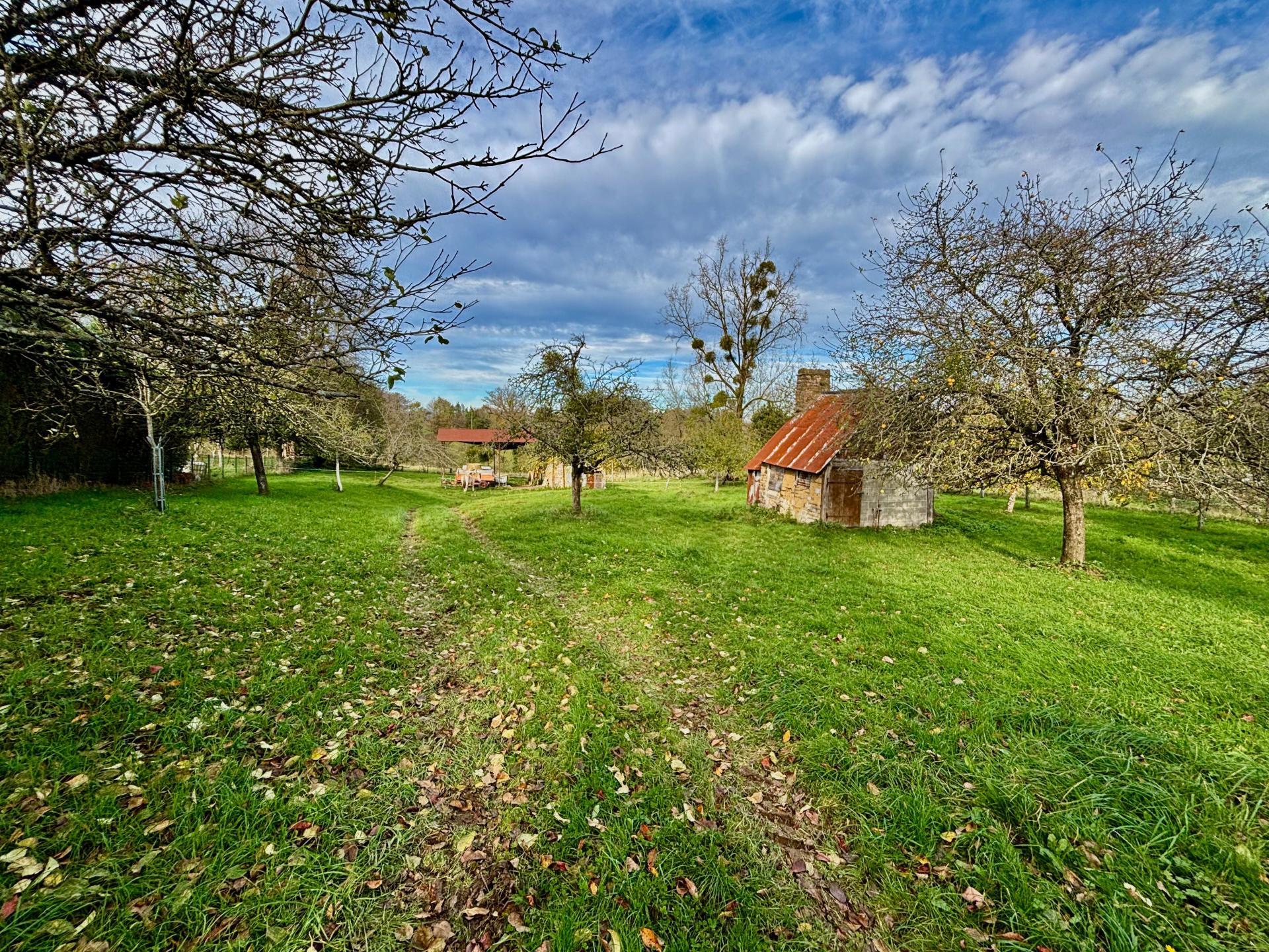 Miniature photo - 3 / 8